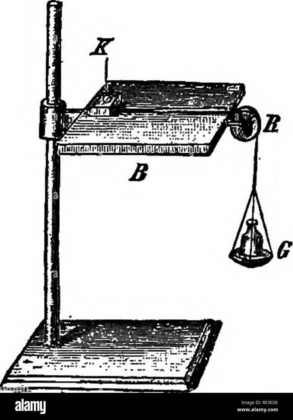 . Texte pratique-livre de physiologie végétale. Physiologie végétale. 182 Échanges et mouvements des liquides organiques la turgescence des cellules actives est le facteur principal dans la production de la rigidité de l'usines à corps mou. 253. Estimation de la Force de turgescence dans les tissus. Prendre une tige florale en croissance active, comme ceux de l'coucou bleu, de Chèvrefeuille, de plantain, de croissance ou de certains pétioles acaulescent Oxalis, et placer dans une solution concentrée de sucre de canne à quatre heures. La manette devrait être au sujet de l'ioo g. de longueur. Avant de la placer dans la solution, faire une marque à l'encre fine près de chaque extrémité, et mesurer la dista Banque D'Images