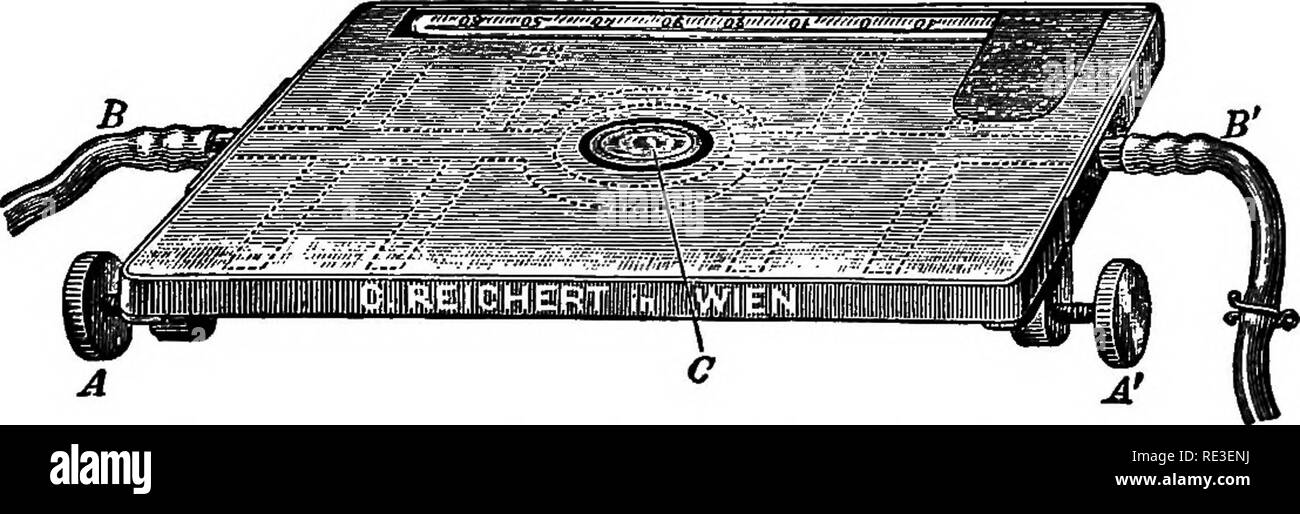 . Texte pratique-livre de physiologie végétale. Physiologie végétale. INFLUENCE DE LA TEMPÉRATURE ' 93 fin les données ainsi obtenues et tracer les résultats des observations sur les points suivants : 1. Pourcentage de germination des graines échauffées con- tinuously les différentes températures. 2. Pourcentage de germination des graines fraîchement traité. 3. Comparaison avec le contrôle de premier lot. 4. La température fatale des semences non traitées. 5. La température fatale de l'acclimater les graines. 144. Rapport de la teneur en eau à l'endurance de la température élevée. Sélectionnez 100 graines dodues de maïs ou de blé. Dix plantes dans un germinateur et Banque D'Images
