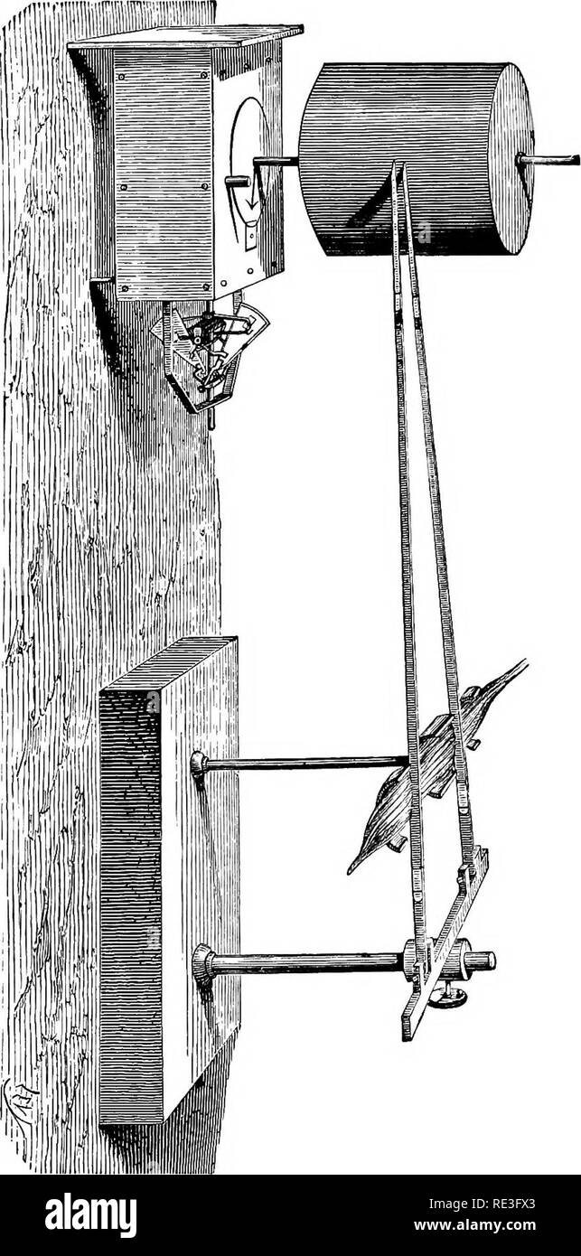 . La physiologie des animaux domestiques ... La physiologie, l'étude comparative ; physiologie vétérinaire. Physiologie du Mouvement. 717 Il n'y a pas de changement réel en vrac dans la contraction musculaire, l'augmentation de l'épaississant presque exactement proportionnelle à la diminution de la longueur. Je &gt ; E a. Ce fait peut être prouvé par la connexion du nerf sciatique de grenouille une jambe s avec les pôles d'une machine à induction et ensuite le placer la jambe m une bouteille remplie de diluer la solution saline, dans le bouchon de laquelle est inséré un tube capillaire. Il faut s'assurer qu'aucun air-bulles dans la bouteille, que le b Banque D'Images