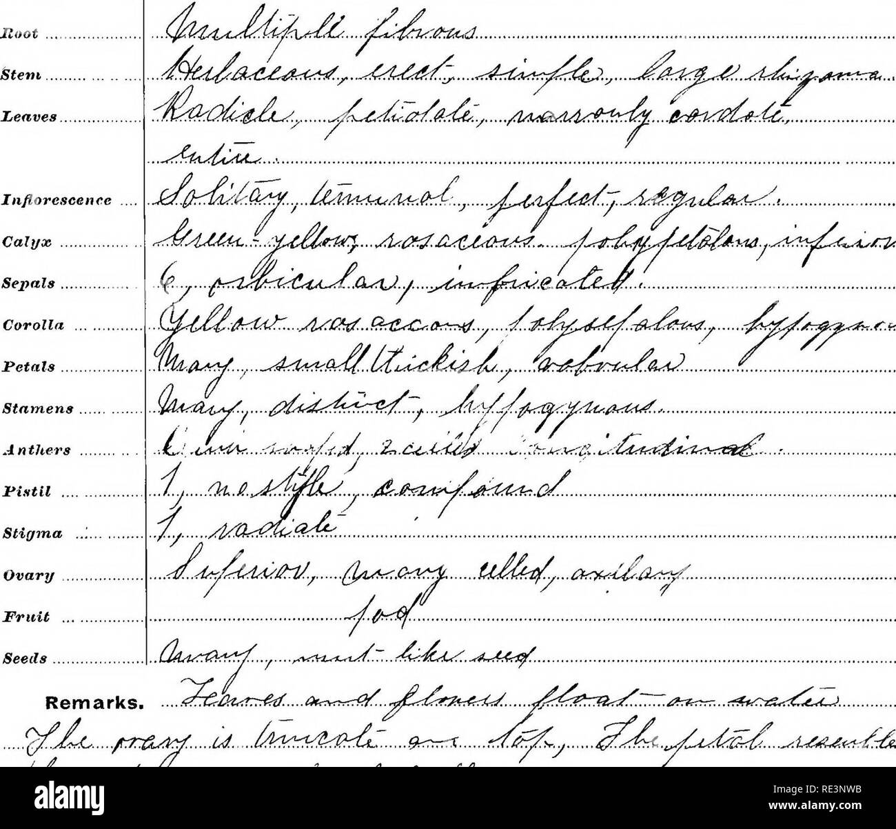 . L'usine d'Apgar ; analyse adapté à Gray's botanies. Les plantes. À l'ordre de présentation. Racine. - Genre. Tige. -Classe, caractère, direction de la croissance, la hauteur des feuilles. - Arrangement, genre, forme, marge. Inflorescence. - Arrangement, genre. Calice. - La couleur, la forme, la cohésion, l'adnation. Sépales. - Nombre, forme, aastivatipn. Corolle.-Couleur, forme, cohésion sociale, adnation. ./Rl.^. f&Lt ;^...../tr:dA&Lt ;^......un.....Uhfr:r1f^^ t id :/^w.^ ^ :....A. iC..(£fid^.t.^J.. ^^^^Crfii..... .^^t.j'lU :^^^- : ..C- :^^^...-.}^^^:ui.r.-^,... Veuillez noter que ces images sont extraites de la page numérisée des images qui peuvent avoir été numériquement Banque D'Images