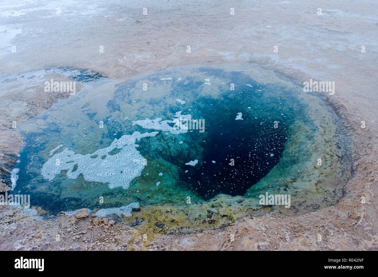 Des geysers El Tatio, Désert d'Atacama, région d'Antofagasta, Chili, Amérique du Sud Banque D'Images