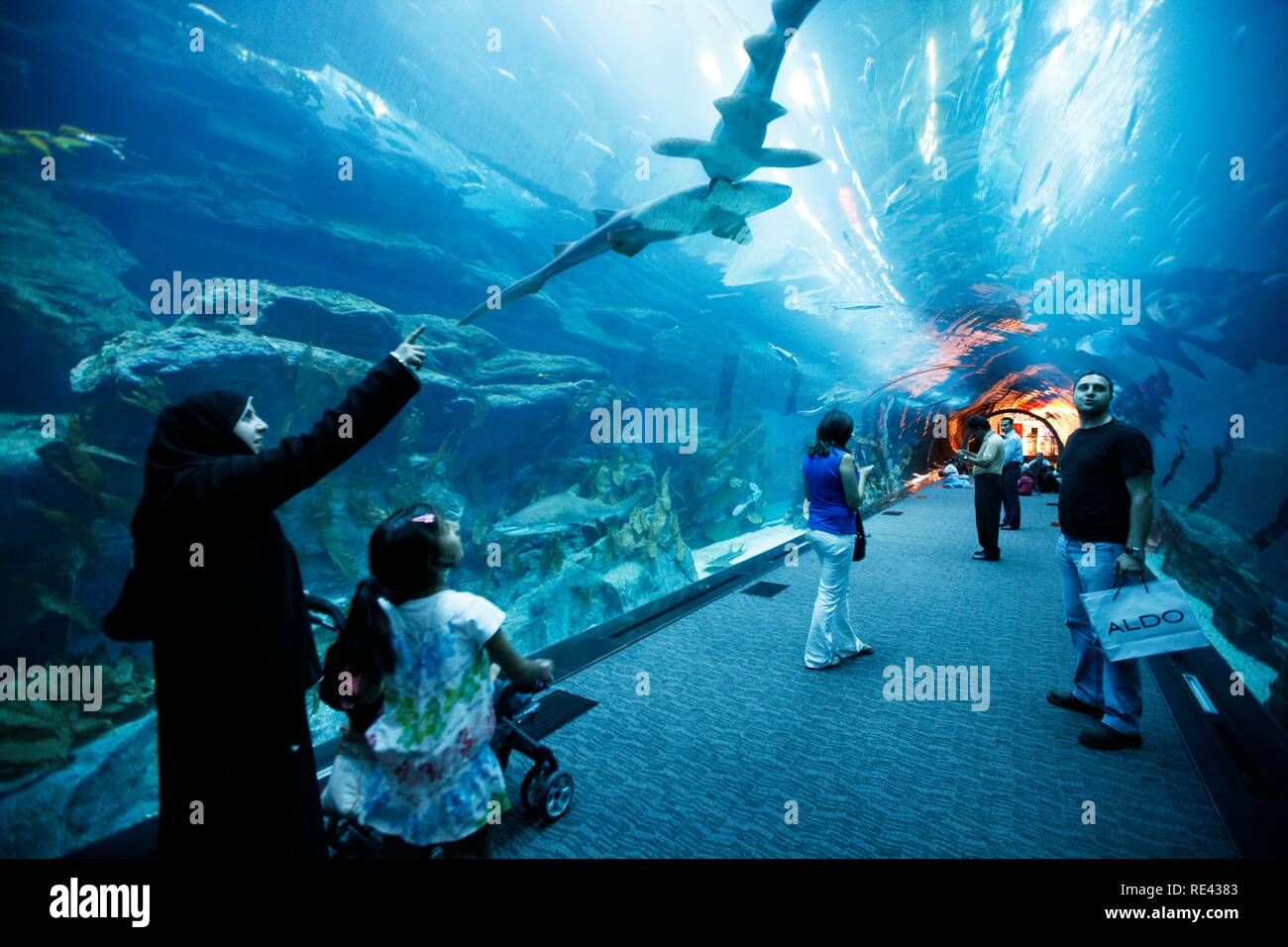 Shark Dubai Aquarium And Underwater Zoo Banque d'image et photos Alamy