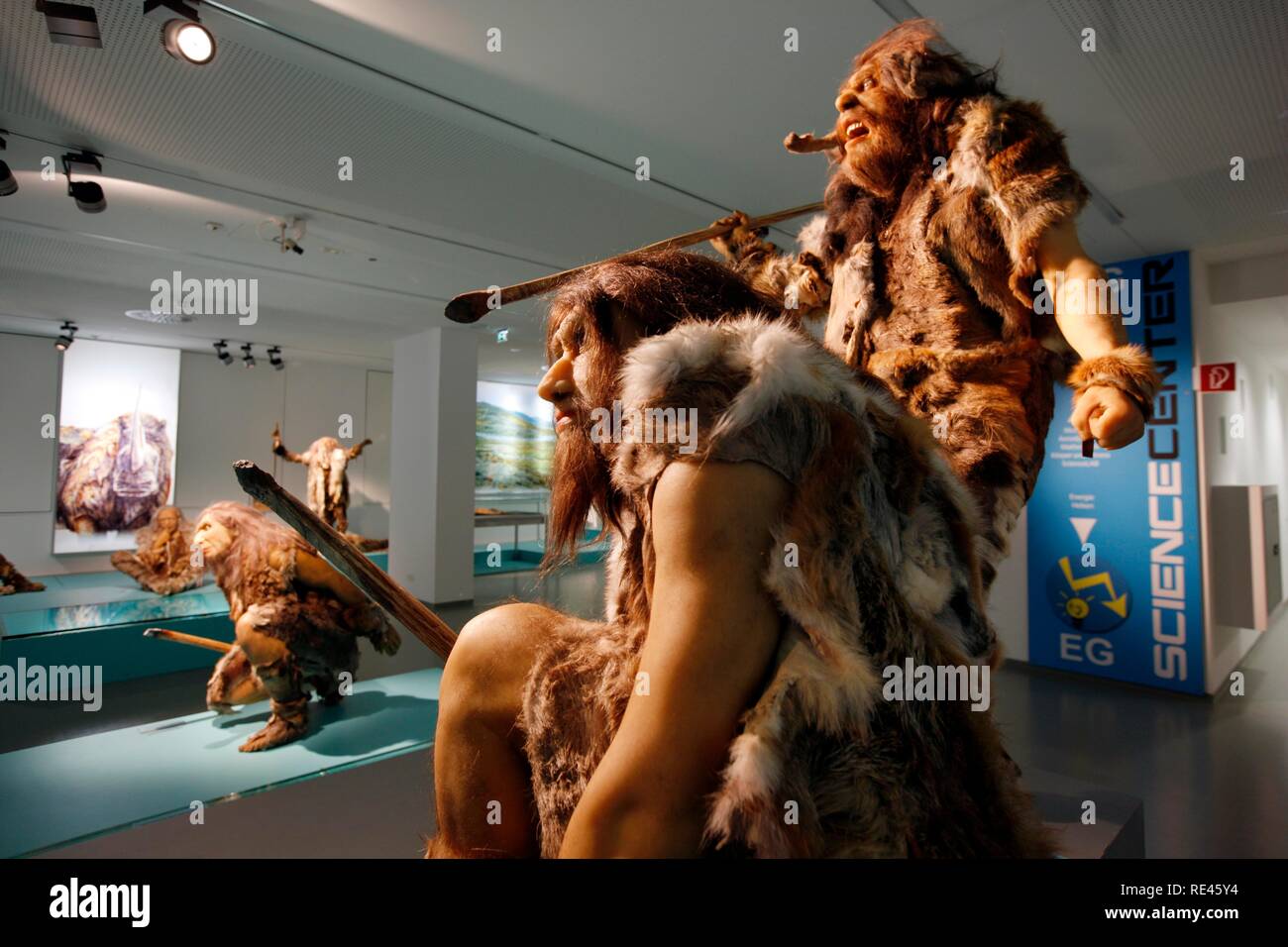 Haus der natur musée, exposition Neandertal, Salzburg, Autriche, Europe Banque D'Images