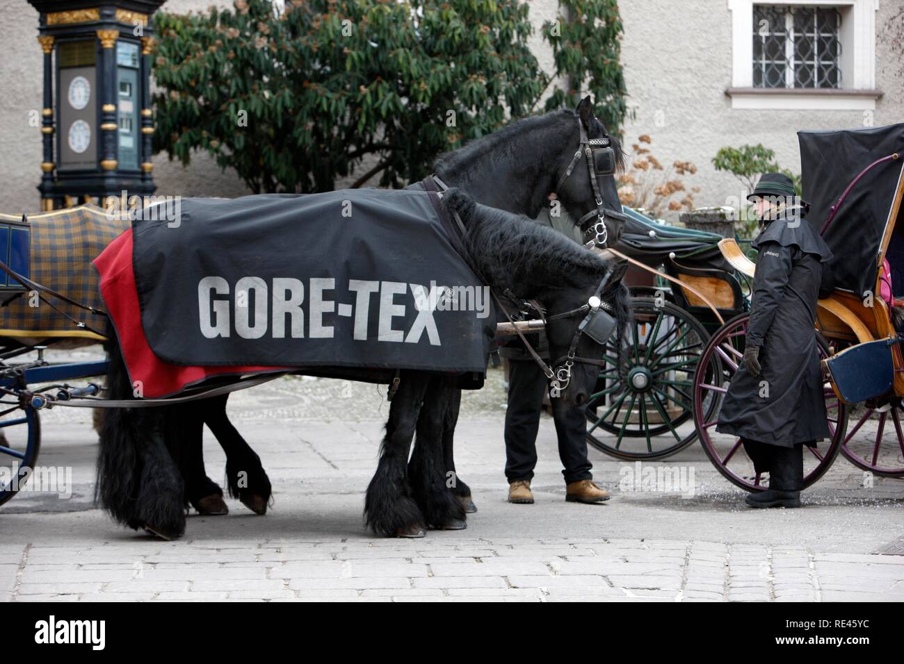Transport, calèches en attente à l'Alter Markt avec les chevaux portant des manteaux chauds, Salzbourg, Autriche Banque D'Images Transport, calèches en attente à l'Alter Markt avec les chevaux portant des manteaux chauds, Salzbourg, Autriche Banque D'Images