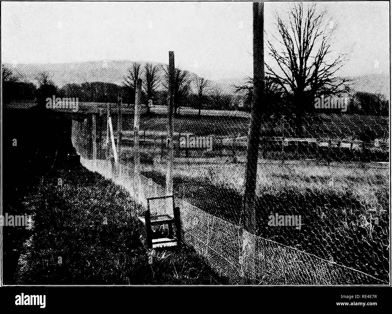 Propagation du0027oiseaux sauvages ; un manuel du0027ornithologie, le