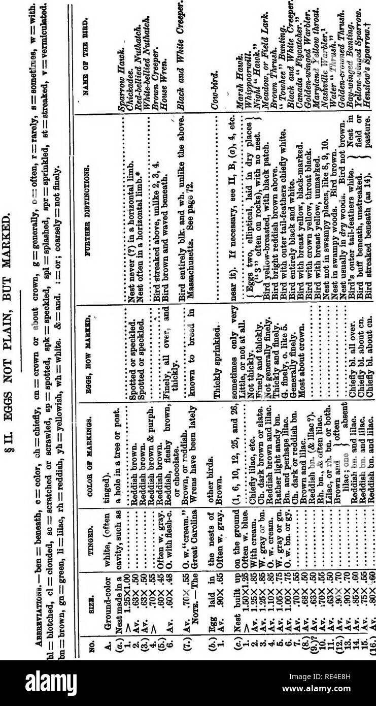 . Les oiseaux et les oiseaux-gibier de la Nouvelle-Angleterre avec des descriptions des oiseaux, leurs nids et leurs œufs, leurs habitudes et leurs notes. Les oiseaux. 448, annexe. ^ «^^idtB Sr de l'EIE les juges, "" ^^'''™'*'°'^^' S2-S"^SS3SS1S®. Veuillez noter que ces images sont extraites de la page numérisée des images qui peuvent avoir été retouchées numériquement pour plus de lisibilité - coloration et l'aspect de ces illustrations ne peut pas parfaitement ressembler à l'œuvre originale.. Minot, Henry Davis, 1859-1890 ; Brewster, William, 1851-1919. Boston, Houghton, Mifflin Banque D'Images