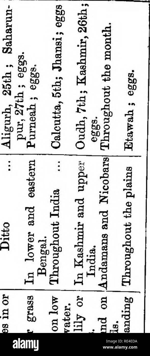 . Nidification des oiseaux de l'Inde. Un calendrier des saisons de reproduction, et un guide populaire aux habitudes et d'oiseaux hante. Les oiseaux ; les oiseaux. 160, juillet. M un fichier .s â â 3  +3 43 53 -^^l G R di â¢$ o CO   !Â ¢ -fl 5 ^ B, 300 252-2 .-S .-a .-a .-S Q -3 A M J 9 J 1 1|| w 2 fe'So fi Rfi â un I ft n. Â" . ^ C&amp ; ROf O Sh 00 Ph O ^^ -( fl dans Je suis JH 00 â ¢ rH 0) 01 -P ^ J O O O O gRRRRi ^â â Q : ! '&Lt;1 fl Fl 2s 2 R t2 sapin -un ^. Veuillez noter que ces images sont extraites de la page numérisée des images qui peuvent avoir été retouchées numériquement pour plus de lisibilité - coloration et l'aspect de ces illustrations ne peut pas parfaitement Banque D'Images