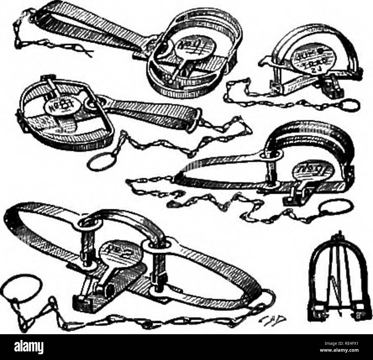 . L'élevage de gibier pour le profit et le plaisir. Un manuel sur les dindes sauvages, perdrix, cailles ou perdrix, canards sauvages et les faisans et perdrix grise introduites ; en particulier à leurs habitudes alimentaires, de contrôle, d'ennemis naturels et les meilleures méthodes de conservation et de reproduction : y compris, en outre, une annexe sur la poudre, charges, etc.. Jeu et jeu-oiseaux. où la vermine a été régulièrement contrôlés, et ils sont plus innocent des dangers en raison de la menace que les oiseaux sont nos ennemis. Puisque la nécessité de s'occuper de certains des sites de reproduction et de les protéger contre la vermine fronl est maintenant apparent il Banque D'Images