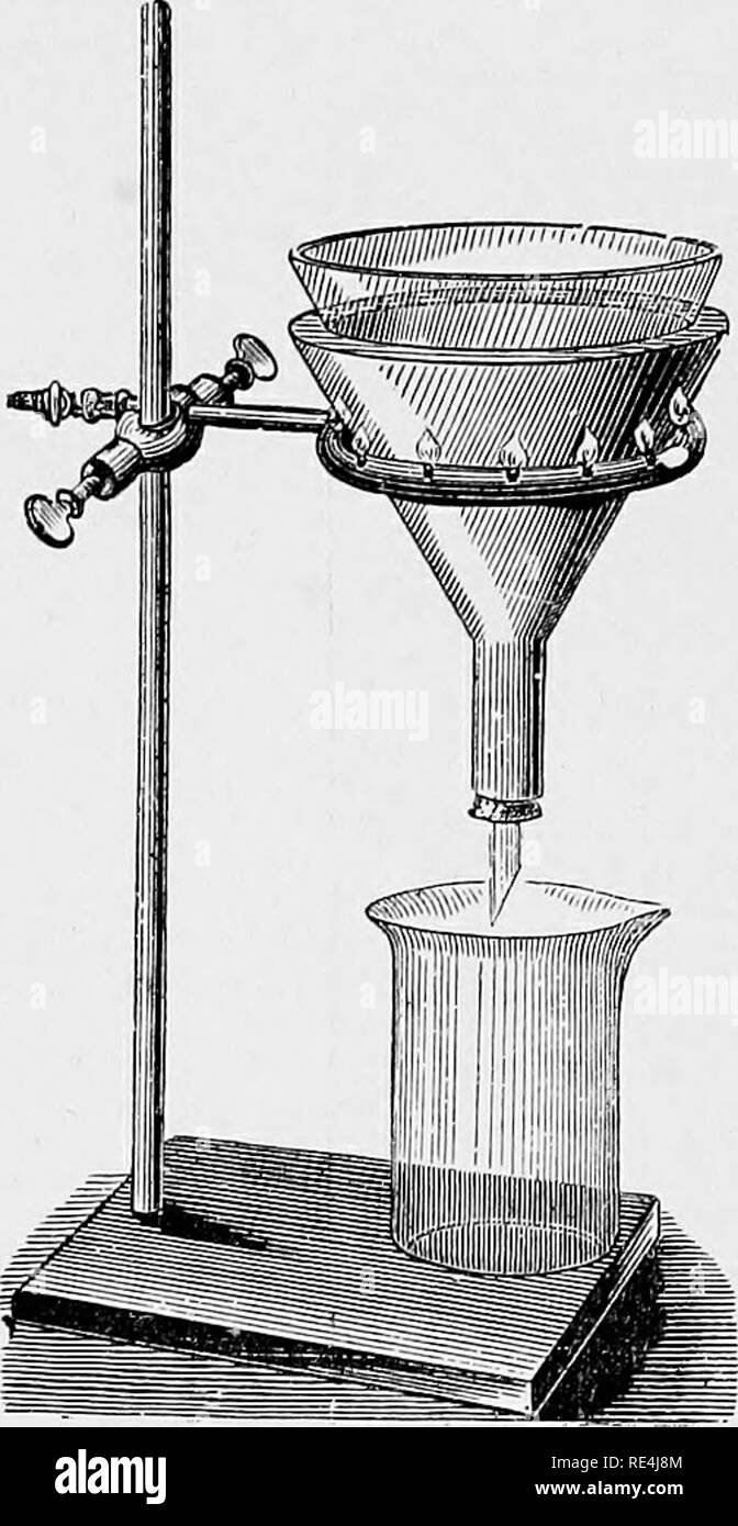 . Un texte-livre de bactériologie, y compris l'étiologie et la prévention des maladies infectieuses et un bref compte-rendu de levures et moisissures, haematazoa psorosperms, et. La bactériologie. 102 BACTÉRIOLOGIE. faiutly papier devient bleu. Si elle a été faite trop alcalin, il peut être neutralisé par l'ajout d'acide lactique. Enfin, le mélange est chauffé pendant une heure dans le bain d'eau. 10 niinvites avant l'ébullition est terminé, le blanc d'un oeuf battu avec le shell est ajouté, et le liquide est ensuite filtré et chaud. Pour la filtration, l'appareil à eau chaude (Fig. 31) peut être utilisée avec profit, Banque D'Images