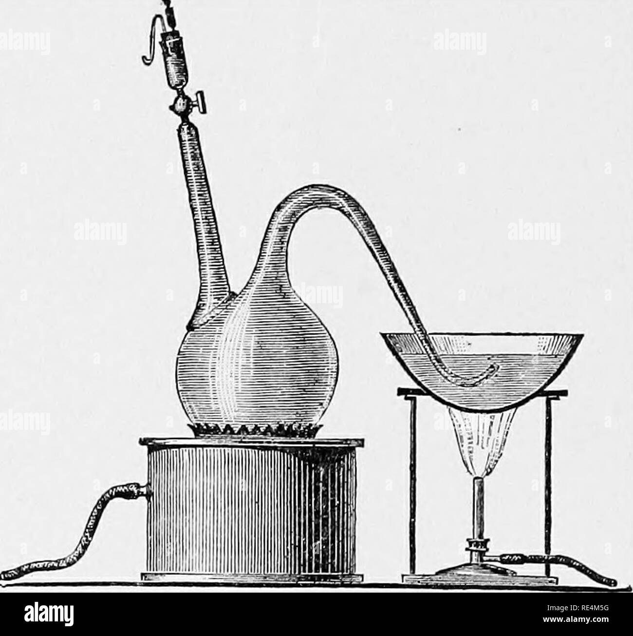 . Un texte-livre de bactériologie. La bactériologie. 138 PRODUITS DE L'activité vitale. formé par oxydation de l'alcool, la production de carbone il diox- ide et de l'eau. La formation d'acide acétique à partir de l'alcool est montré bj- la formule suivante : ethanol CH3.CH,.0H  + 0,  = CH^.COOH  + H.O. L'acide butyrique est produit par un nombre considérable de bactéries, dont l'un, appelé Bacillus, butyricus a reçu l'attention spéciale à d'Prazmowski. C'est strictement anaérobie. Dans des solutions de l'amidon, la dextrine, le sucre, ou sels d'acide lactique, lorsque l'oxygène est ex- clu il produit l'acide butyrique dans considerab Banque D'Images