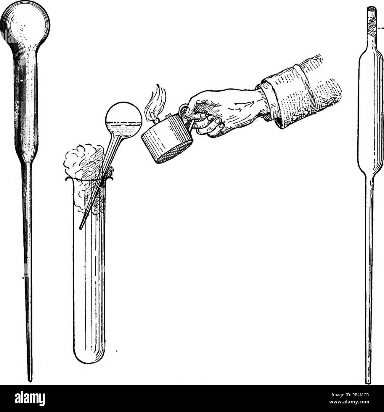. Un texte-livre de bactériologie. La bactériologie. 38 MILIEUX DE CULTURE. l'habitude de percevoir dans ce chemin, et, après le sérum a- SEPA, d'encombrement en fioles peu avoir un long cou, comme montré dans Fig. 14. Le col de la fiole, steriUzed précédemment par la chaleur, est shpped dans la bouteille de Woulf à côté du bouchon de coton, l'ampoule (a) ayant été préalablement chauffée doucement d'élargir le contenu de l'air. Comme l'air qui refroidit un vide partiel est formé et la claire se monte dans la petite fiole. L'un après l'autre est rempli dans le sérum de cette façon, et chacun est hermétiquement scellé dans la flamme de Banque D'Images