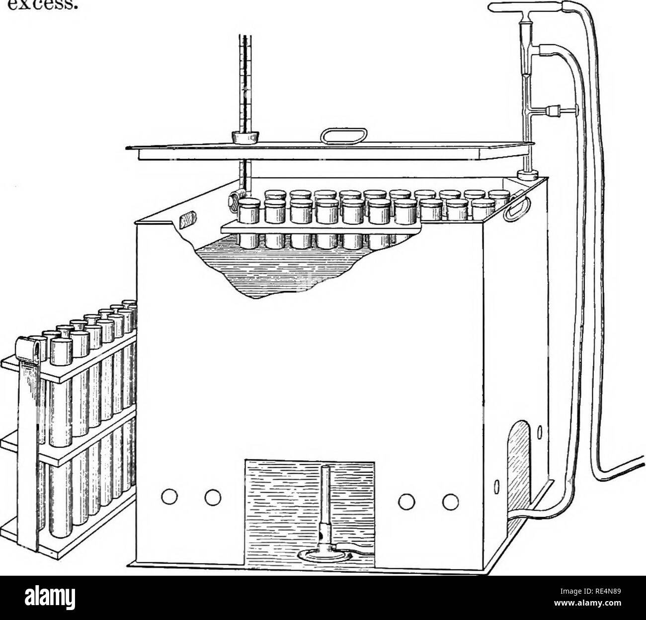 . Un manuel de bactériologie pour l'agriculture et à d'étudiants en sciences. La bactériologie. Les BACTÉRIES DU LAIT SI 81 N/10 NaOH ont été utilisées, le facteur dans le numérateur serait .009 mstead de .0045. 5. L'acidité ne baisse finalement ? Pourquoi ? 6. Se procurer des comprimés de commerciale à l'acide lactique bactéries formiug et ensemencer le lait pasteurisé. Comparez soigneusement l'odeur et le goût des échantillons inoculés avec différentes souches. 117 de l'exercice. Test de fermentation c'est une méthode pratique de montrant si les bactéries du putrefying ou Coli-Aerogenes les groupes sont présents dans le lait en excès.. Fig. 35. - Constant Banque D'Images