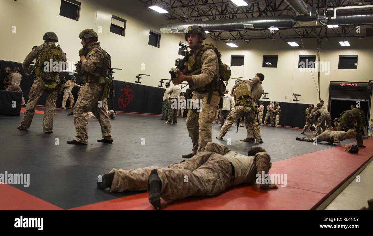 Marines avec la Compagnie B, 1er Bataillon de Reconnaissance, 1 Division de marines mener un programme combatif d'opérations spéciales à bord Marine Corps Base Camp Pendleton, en Californie, 22 nov., 2016. Le programme enseigne les techniques de recherche recon marines et des objectifs de capture efficacement par l'utilisation de la force physique. Banque D'Images