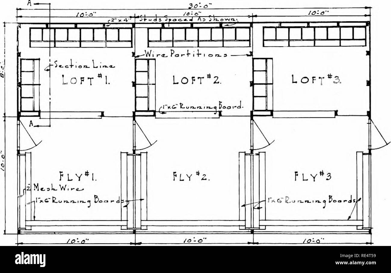 . L'élevage de pigeons rentables ; un manuel pratique expliquant la façon de se reproduire avec succès les pigeons,--que ce soit comme un hobby ou comme une exclusivité business. Les pigeons. 48 pioroDX intivKiuxn rRdiaTAP.LK J''LY 10 piccos je malade. liv I iTi.. 11 ; ri. iniig-. En morceaux 2 B. bj- -J'en.. Dans la région de Ft. IcinK-. 3 morceaux 1 in. b.v i ; en.. H ft. Jong-. 72 pieds en 2 Lin.. mesh fil de poulet -est en large. 32 Lin. 2 .l'impression. en fil de poulet 60 mailles en largeur. 3)j'ai l'air de 4 in. iiinires 2 ip, des cadenas, des câbles et d'agrafes pour , =uit. f. uooB foaATHEEEPENPiGtoriHousE Plans Plan. Les drows^Bv f.A,4-L" ,^A . 3L^« 4- I.. Veuillez noter que ces codes ima Banque D'Images