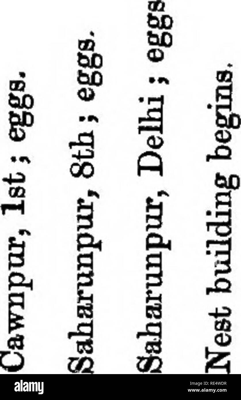 . Nidification des oiseaux de l'Inde. Un calendrier des saisons de reproduction, et un guide populaire aux habitudes et d'oiseaux hante. Les oiseaux ; les oiseaux. Avril. 99 n "60 .- 13 a I de. Â¢â un un 13 S |2i .1 s ! Â" O O O^FLP S. Veuillez noter que ces images sont extraites de la page numérisée des images qui peuvent avoir été retouchées numériquement pour plus de lisibilité - coloration et l'aspect de ces illustrations ne peut pas parfaitement ressembler à l'œuvre originale.. Marshall, G. F. L. (George Frederick Leycester), 1843-1934. Appuyez sur le centre de Calcutta Calcutta, Co. Banque D'Images