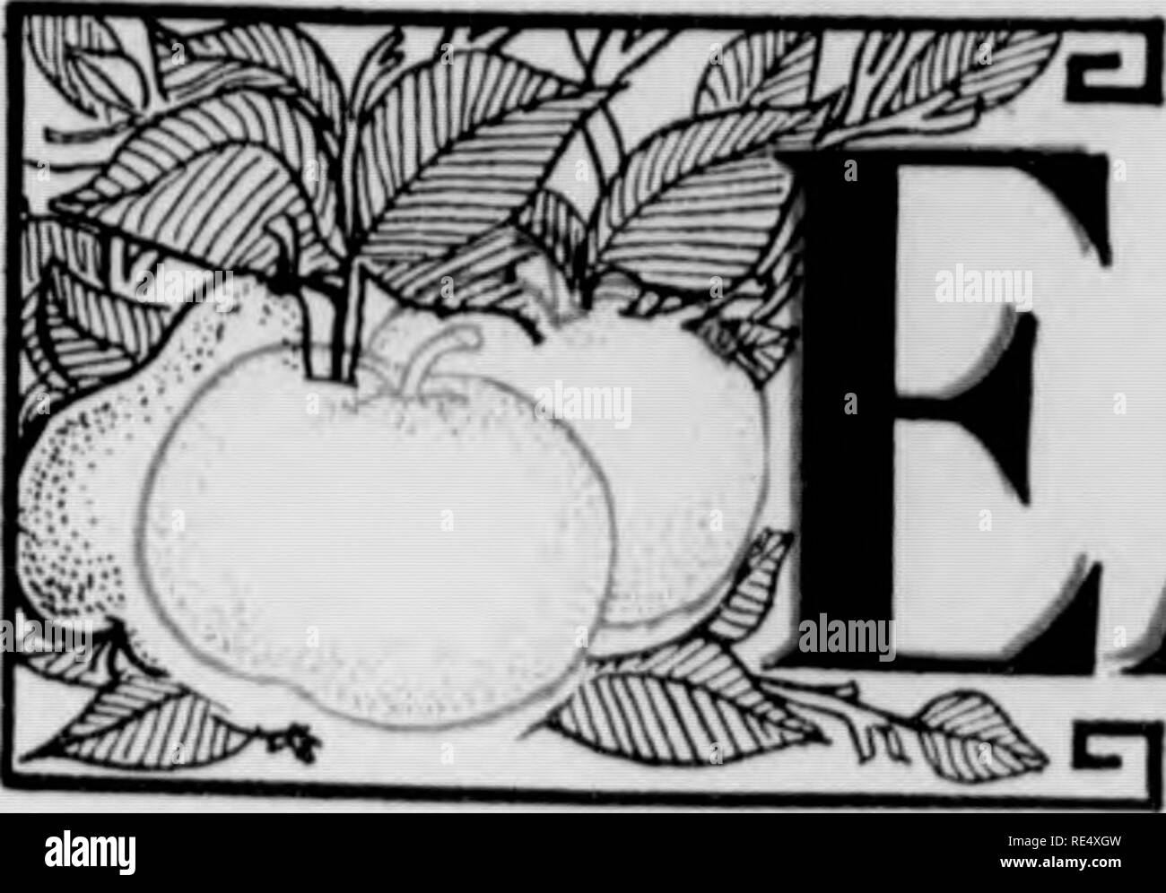 . Fruit de l'Est. La culture des fruits ; la vie à la ferme ; la vie à la campagne. Â¢T1"TTTTTTT TTTTTTT C1ar- 1 Jn. 6-7 ft. Des semis (300 Fox'iisboro Bilyou Jret 1000 Kriinia 600 Mt. F&lt;o8o 500 (iarv sur 300 l{.,y 2lt00 Beil Géorgie 1600 Carman 000 100  % Mi de 3-4 pi. 100 400 2000 1500 1600 7000 1200 100 380 1000 2 à 3 100 ft. 700 500 1000 1000 1000 6600 1000 1400 -2 1 ft. 1200 1000 600 10O0 1000 6000 1800 180 400 1. 6-7 ft. 9-16  %  % dans. 9-16 in. 6-6 ft. 4-B ft. 100 800 700 870 800 600 l'ino Denton 300 300 Kngle lOarly 300 Mammouth 300 Michigan 6060 lOthel's Mam.tsame comme le capitaine Edc) 6060 lOureka '-'OO -O Banque D'Images