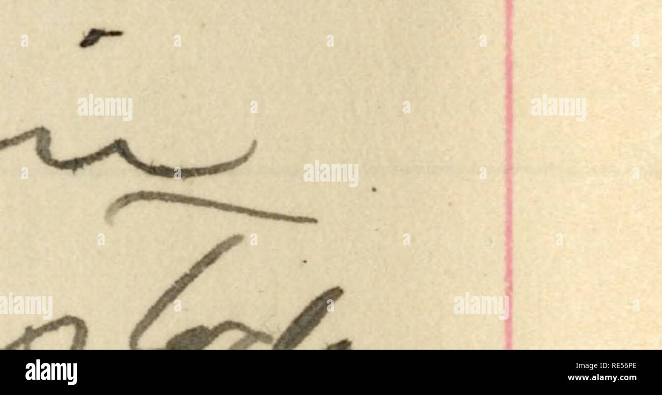 . Rollo Beck expédition Galápagos journal, 1905-1906 (inclus). Expéditions scientifiques -- l'Amérique du Sud.. 7^»^^£ y - h &AMP ;-y * z&amp ;&gt ; &Lt ;£# Li * tLe^^T sL.,^stsL tryi. £L^. Veuillez noter que ces images sont extraites de la page numérisée des images qui peuvent avoir été retouchées numériquement pour plus de lisibilité - coloration et l'aspect de ces illustrations ne peut pas parfaitement ressembler à l'œuvre originale.. Beck, Rollo Howard. Banque D'Images