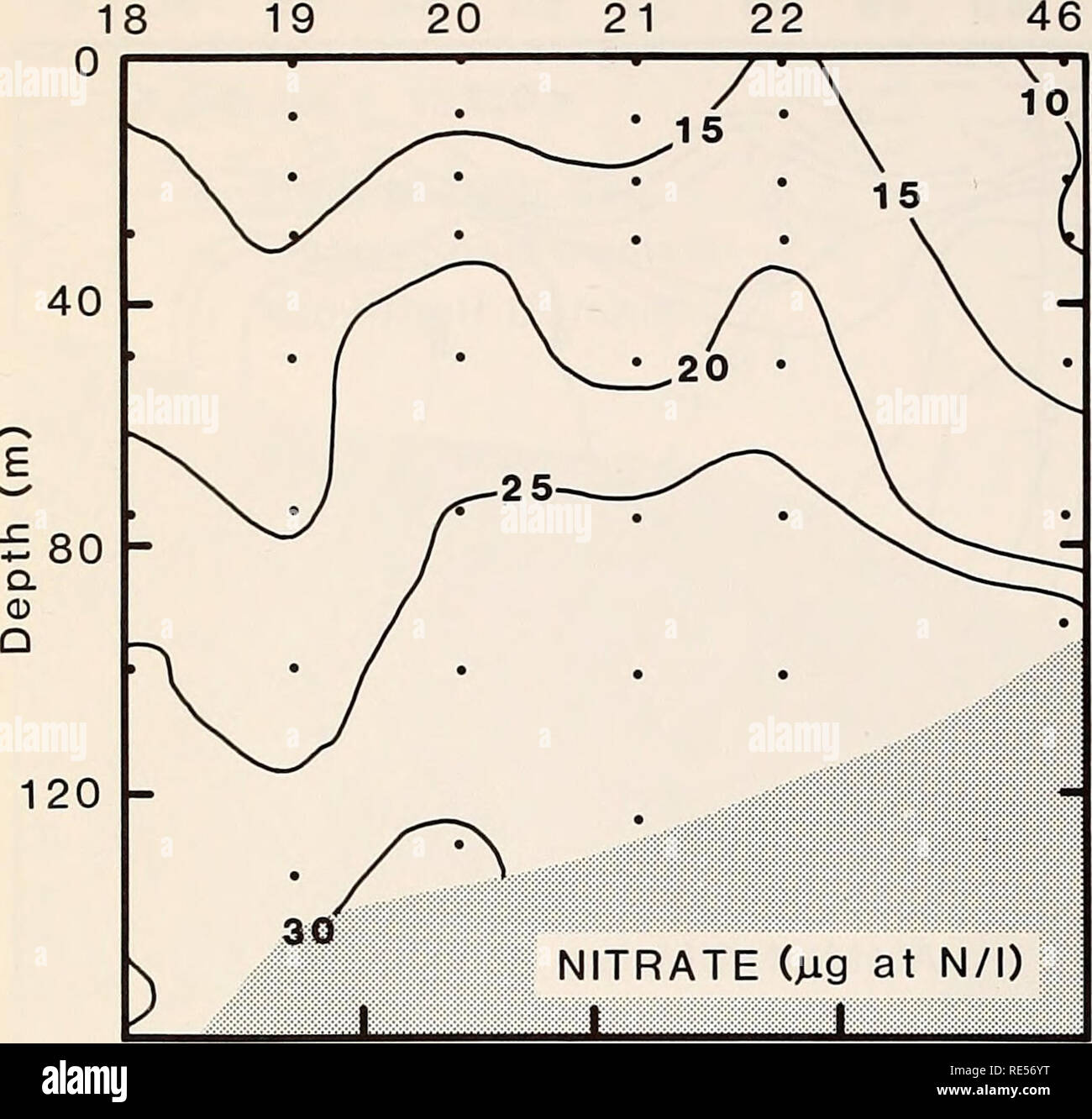 . L'Est de la mer de Béring Tablette : océanographie et ressources / edited by Donald W. Hood et John A. Calder. L'océanographie de la mer de Béring.. Station d'écologie du plancton 984 18 19. 40 80 120 160 Distance (km) Station 18 19 20 21 22 46 40 80 03 o £ un 120 - • • • • • • J : ' G • • • • • • • • • G AMMONIUM (^ ; g à 11 N/l) 40 80 120 Distance (km) 160 La figure 58-59. La distribution de nitrates et d'ammonium (/atomes ig N/l) dans l'Bristol Bay au sud de l'Îles Pribilof le long d'un transect allant du sud à partir de 55° 06,5' N-167°22,8' à 55°52,4'N-165°17,5' W (Ancône Cruise 242, 13-26 mai 1977). La durée pendant l'hiver. Wit Banque D'Images