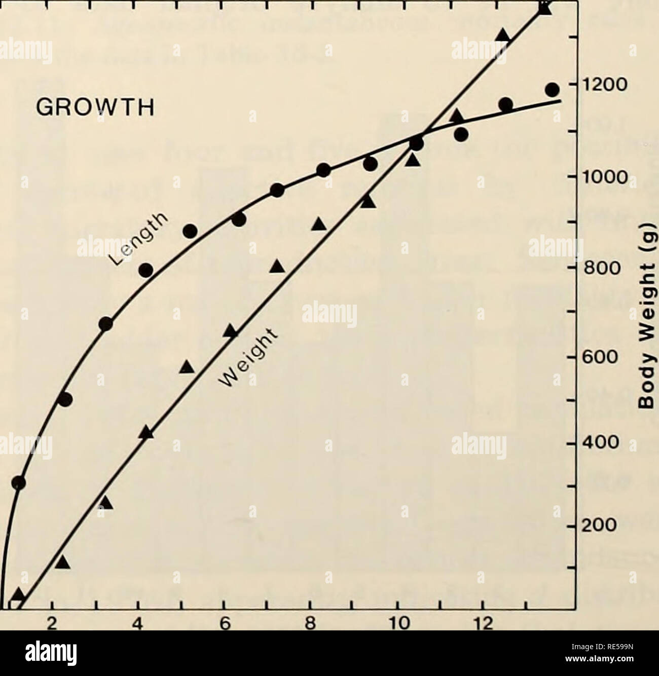 . L'Est de la mer de Béring Tablette : océanographie et ressources / edited by Donald W. Hood et John A. Calder. L'océanographie de la mer de Béring.. L'océanographie des pêches 536 Tableau 33-5 Résumé de la longueur moyenne à l'âge déterminé par le NMFS Crab-Groundfish les relevés du navire de recherche effectuée au cours des mois de juin à mi-août, 1973-78 (unités  = cm de longueur à la fourche) année de l'enquête les classes d'âge (ans) 7 8 9 10 11 12 13 14 15 1973 1974 1975 1976 1977 1978 15,7 25,7 32,9 39,2 42,0 43,4 46,0 47,3 49,5 52,4 56,1 63,5 66,0 15,5 - 25,2 34,9 38,5 - 44,3 44,3 47,7 49,6 51,0 53,4 51,7 57,6 57,8 14,3 24,3 32,5 - - 39,6 44,3 47,1 50,5 53,4 55,3 5 Banque D'Images