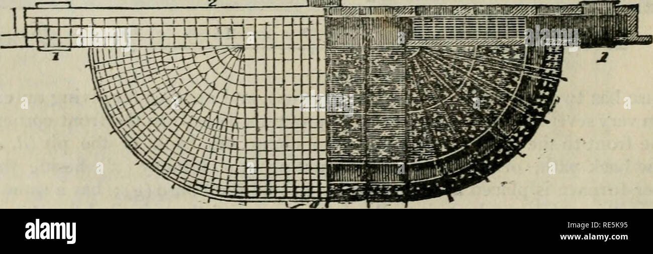 . Une encyclopédie de jardinage ; comprenant la théorie et la pratique de l'horticulture, floriculture, arboriculture, et paysage-jardinage, y compris toutes les dernières améliorations ; une histoire générale de jardinage à tous les pays ; et une vue statistique de l'état, avec des suggestions pour l'avenir de progrès, dans les îles britanniques. Le jardinage. 2654. Comme exemple d'un grapery pinery et combinés, nous faisons référence à une structure curvilinéaire (Jig. 438.), érigée à partir de nos conceptions, à Langport dans Somersetshire. La chambre 4392 raspy... Veuillez noter que ces images sont extraites des images de la page numérisée Banque D'Images