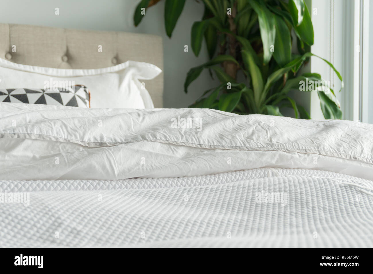 Blanc moelleux, couette et couverture avec oreillers décoratifs, tête de lit  et de plante. Confortable, un lit confortable avec une literie blanche  Photo Stock - Alamy