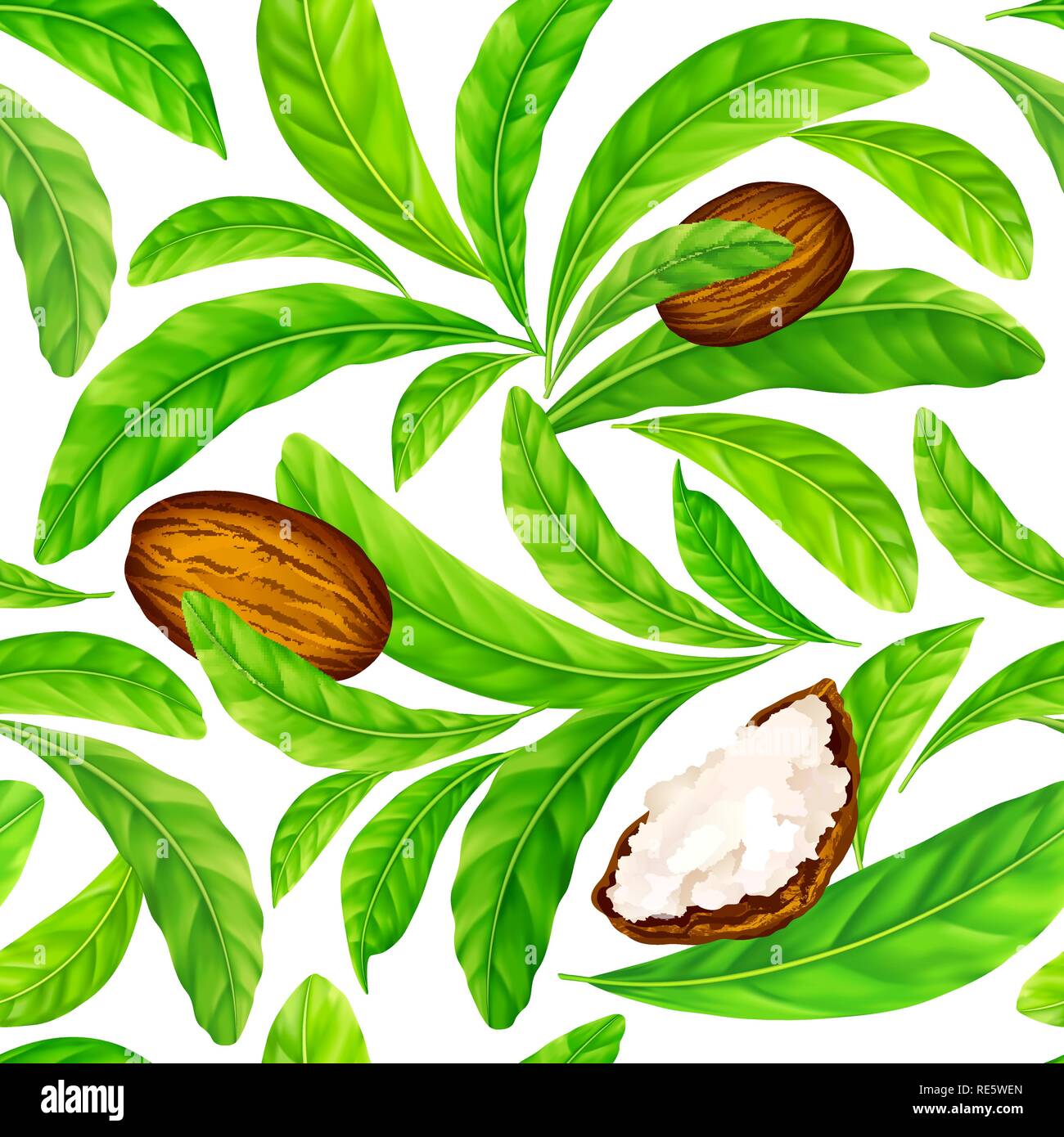 Les noix de karité avec des feuilles dans le vector pattern. Illustration de Vecteur Les noix de karité avec des feuilles dans le vector pattern. Illustration de Vecteur
