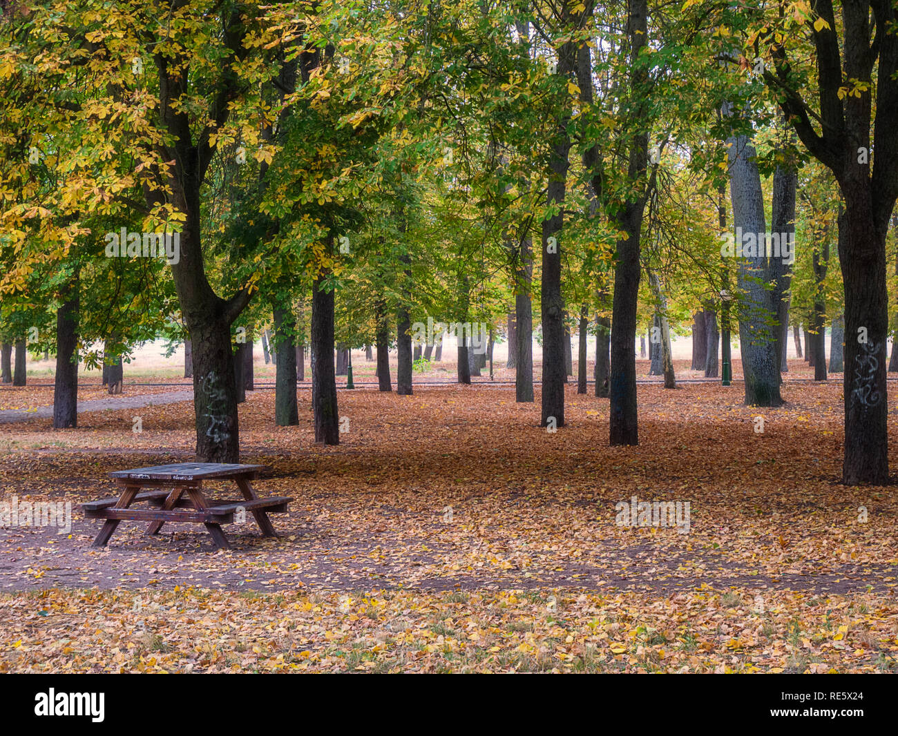 Vena Riverside Park (Parque Lineal del Vena) à l'automne, la ville de Burgos, Castille, Espagne Banque D'Images
