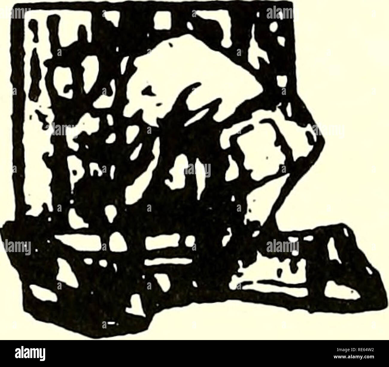 Les Canneberges La Canneberge National Magazine La Canneberge Souffle De Canneberge Premier Plan Est La Fin Parfaite Pour Un Repas Leger La Creme D Orange De Canneberges Gateau A La