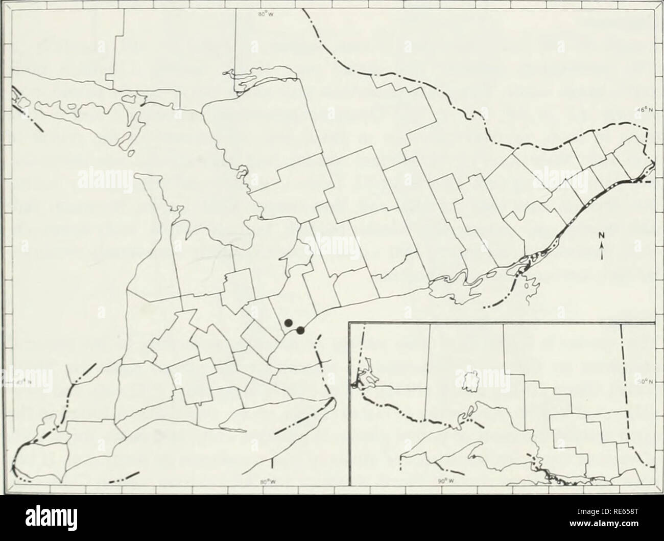 . Les vers de terre (lumbricidae et sparganophilidae) de l'Ontario. Lumbricidae ; les vers. Répartition En Amérique du Nord en raison de la confusion dans le passé Aporrectodea trapezoides groupe d'espèce (cf. Portes, 1972a). Un grand nombre des documents d'Ap. longa peuvent avoir été attribués à d'autres espèces comme le Lumbricus terrestris ou Allolobophora terrestris et diverses formes de variétés. Il y a quelques rapports de collections limitées de cette espèce en Amérique du Nord (cf. Eaton. 1942 ; barrières, 1953a ; Murchie, 1956 ; Reynolds, 1973c, 1975a-c. 1976a. c ; et Reynolds et al., 1974). Nouveau-brunswick (Reynolds, I976d), Nova Scoti Banque D'Images