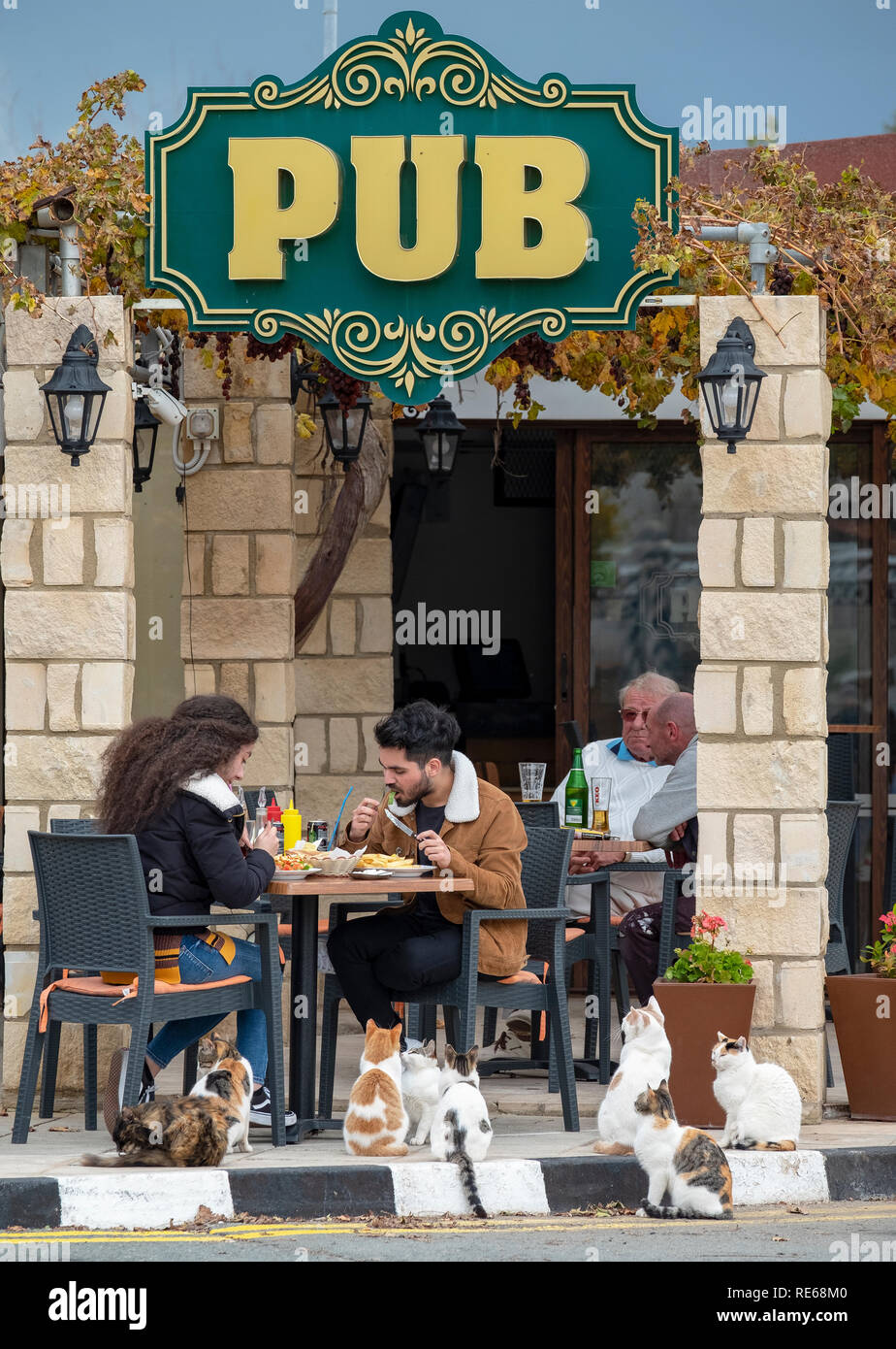 Un groupe de chats attendent des morceaux de nourriture devant un restaurant et un pub dans le village de Mandria, Chypre. Banque D'Images