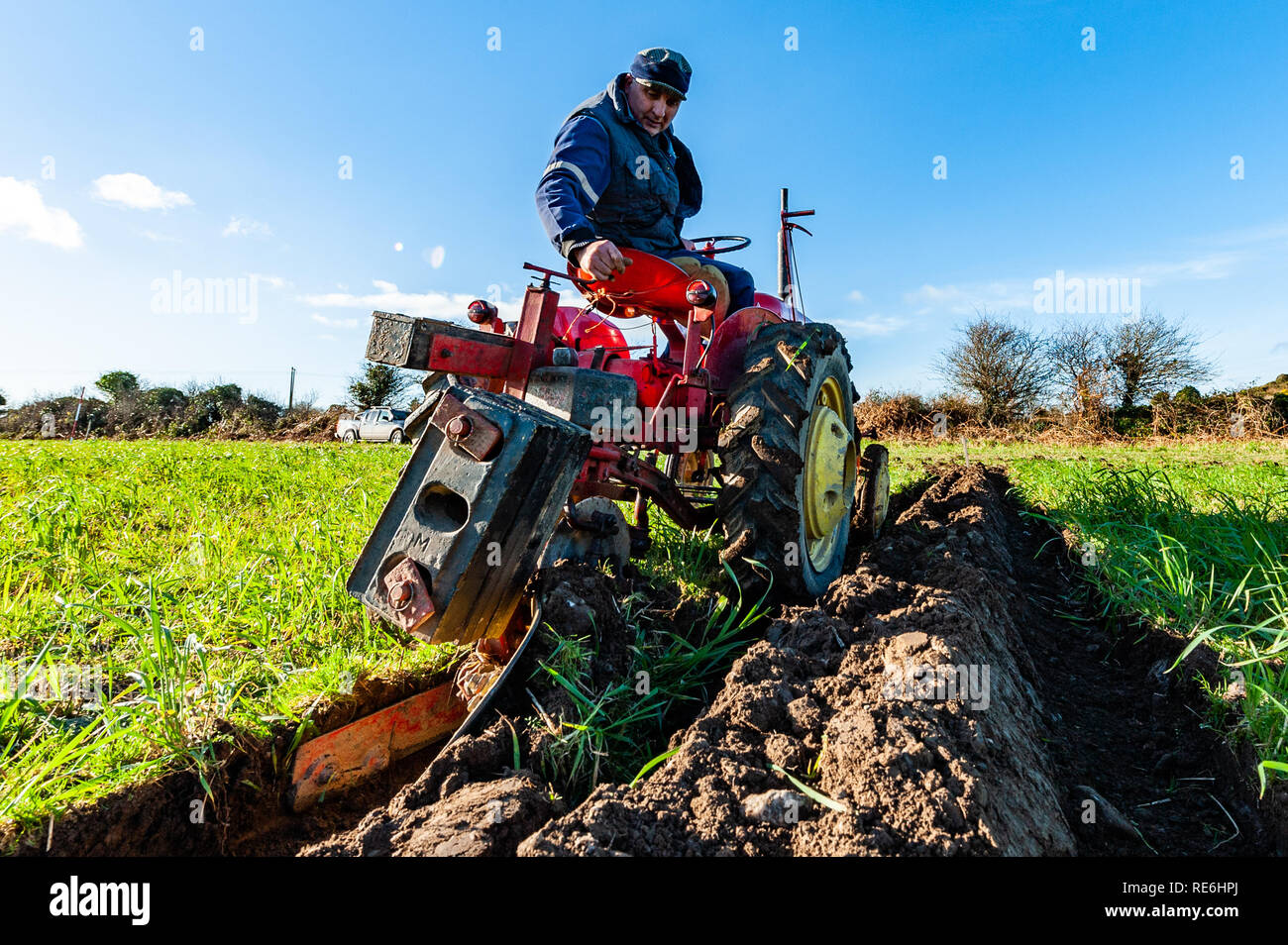 Naples, en Irlande. 20 Jan, 2019. Gordon Jennings de Clonakilty en concurrence dans le concours de labour s'est tenue à Naples aujourd'hui. Credit : Andy Gibson/Alamy Live News. Banque D'Images