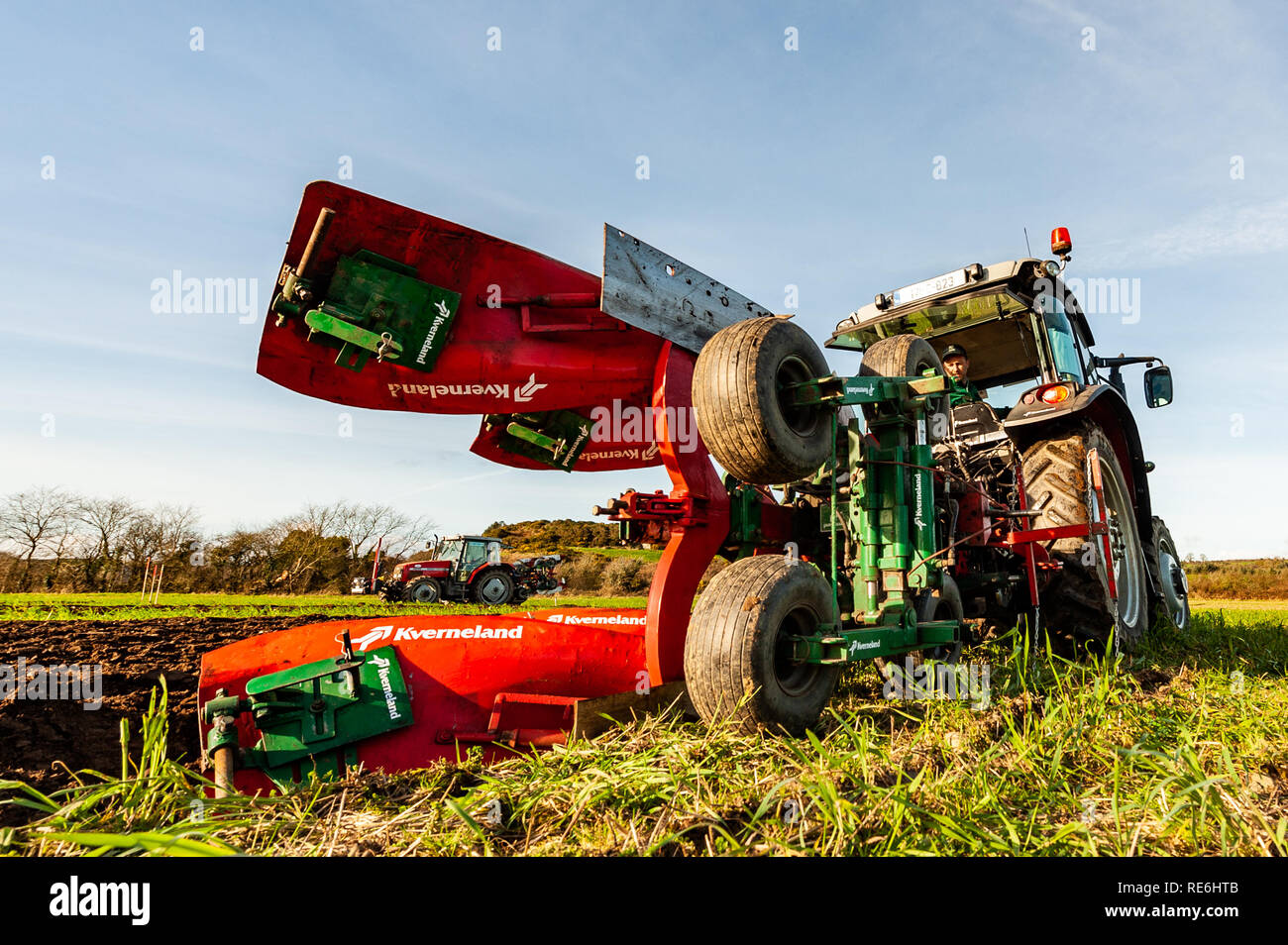 Naples, en Irlande. 20 Jan, 2019. Champion 2018 Labour européen Liam O'Driscoll a concouru dans le concours de labour s'est tenue à Naples aujourd'hui. Credit : Andy Gibson/Alamy Live News. Banque D'Images