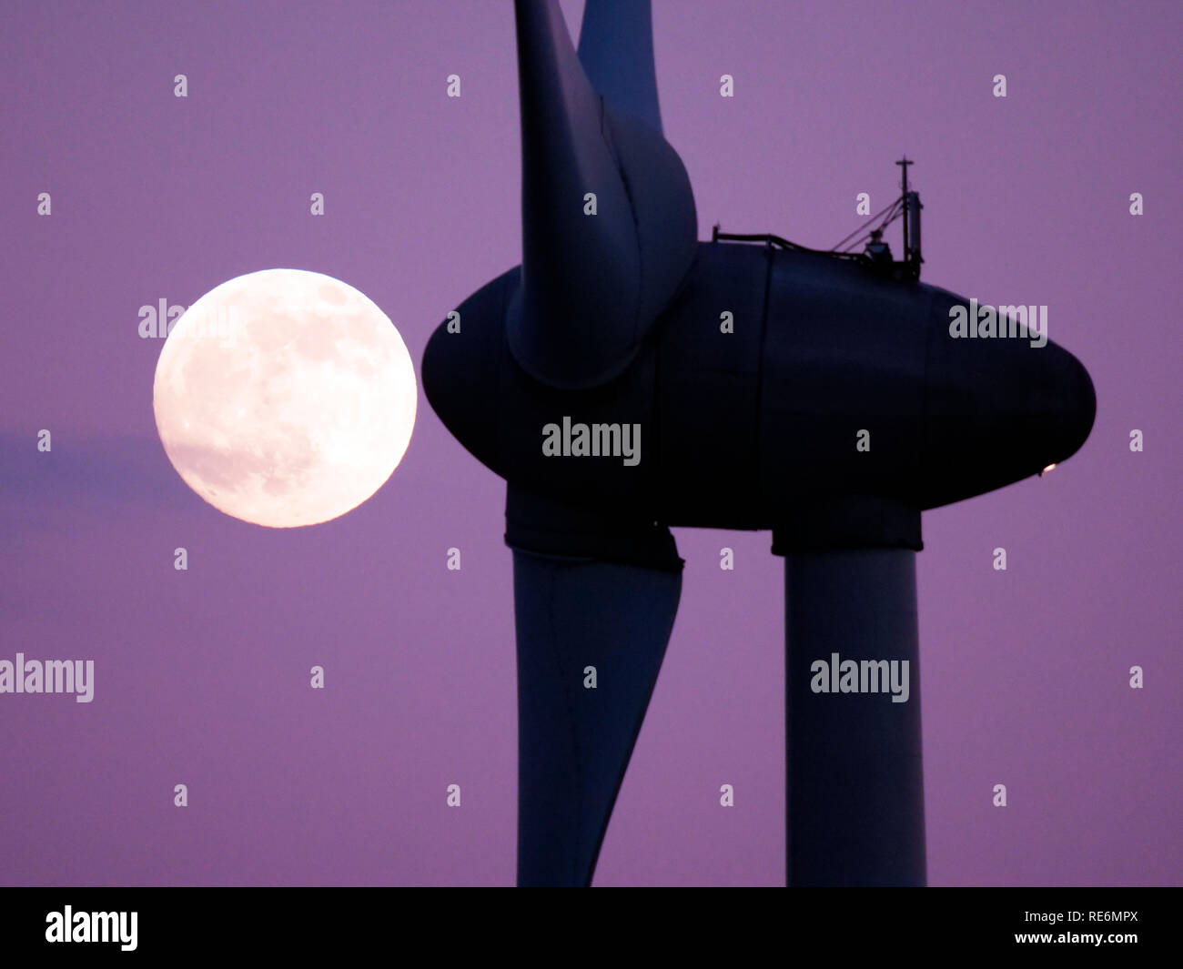 Peak District, UK. 20 Jan, 2019. Loup de sang complet Super Pleine Lune croissante au sujet des éoliennes à griffe Grange près de Wirksworth, Derbyshire Dales, Peak District, UK De : Doug Blane/Alamy Live News Banque D'Images