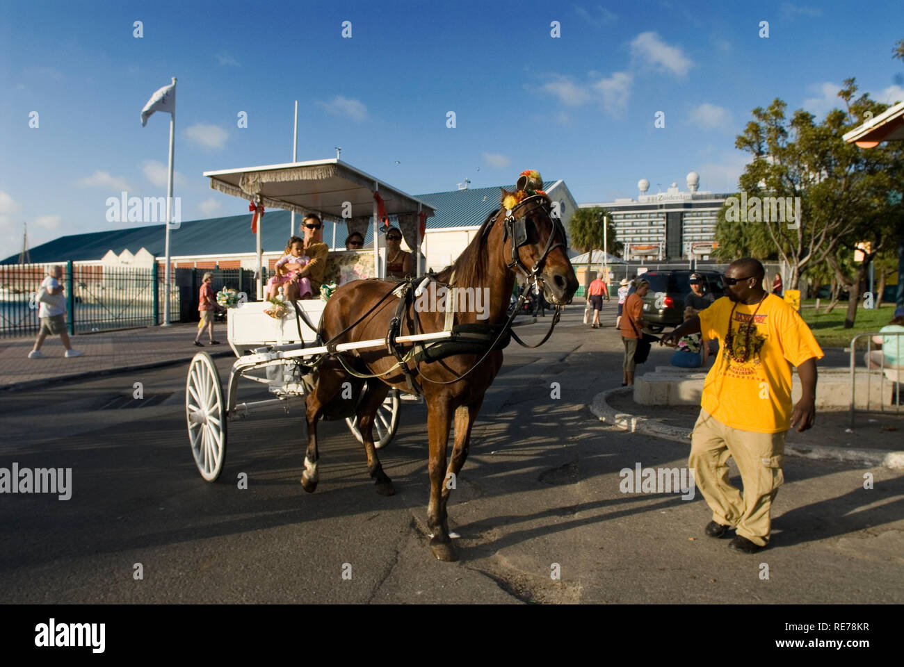 Bahamas New Providence Nassau Bay Street tour à cheval transport Photo