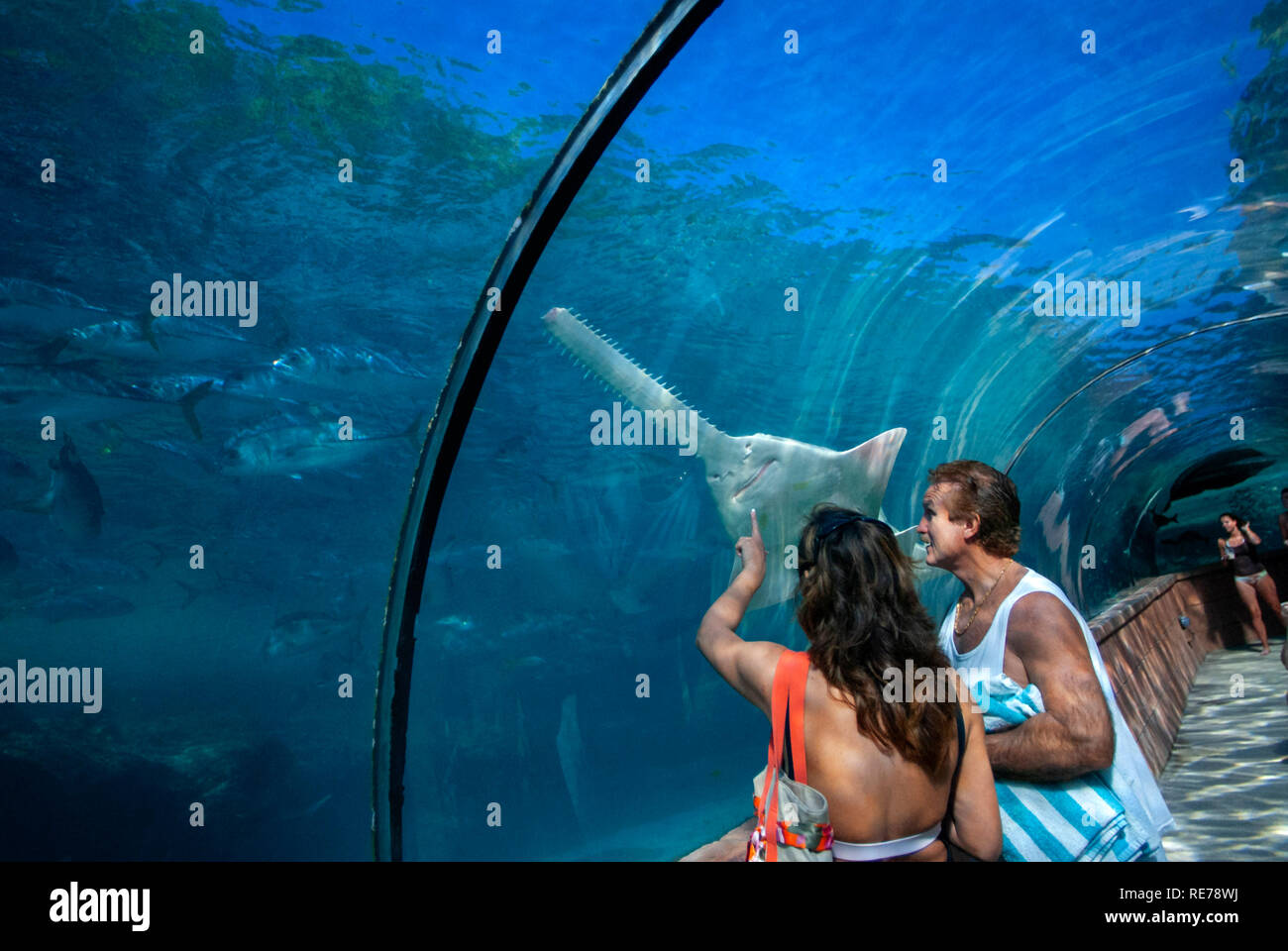 Tunnel de verre de l'Aquarium pour voir les prédateurs. Hôtel Atlantis. Paradise Island, Nassau, New Providence Island, Bahamas, Caraïbes. Panorama de l'Atlantis Hotel Banque D'Images