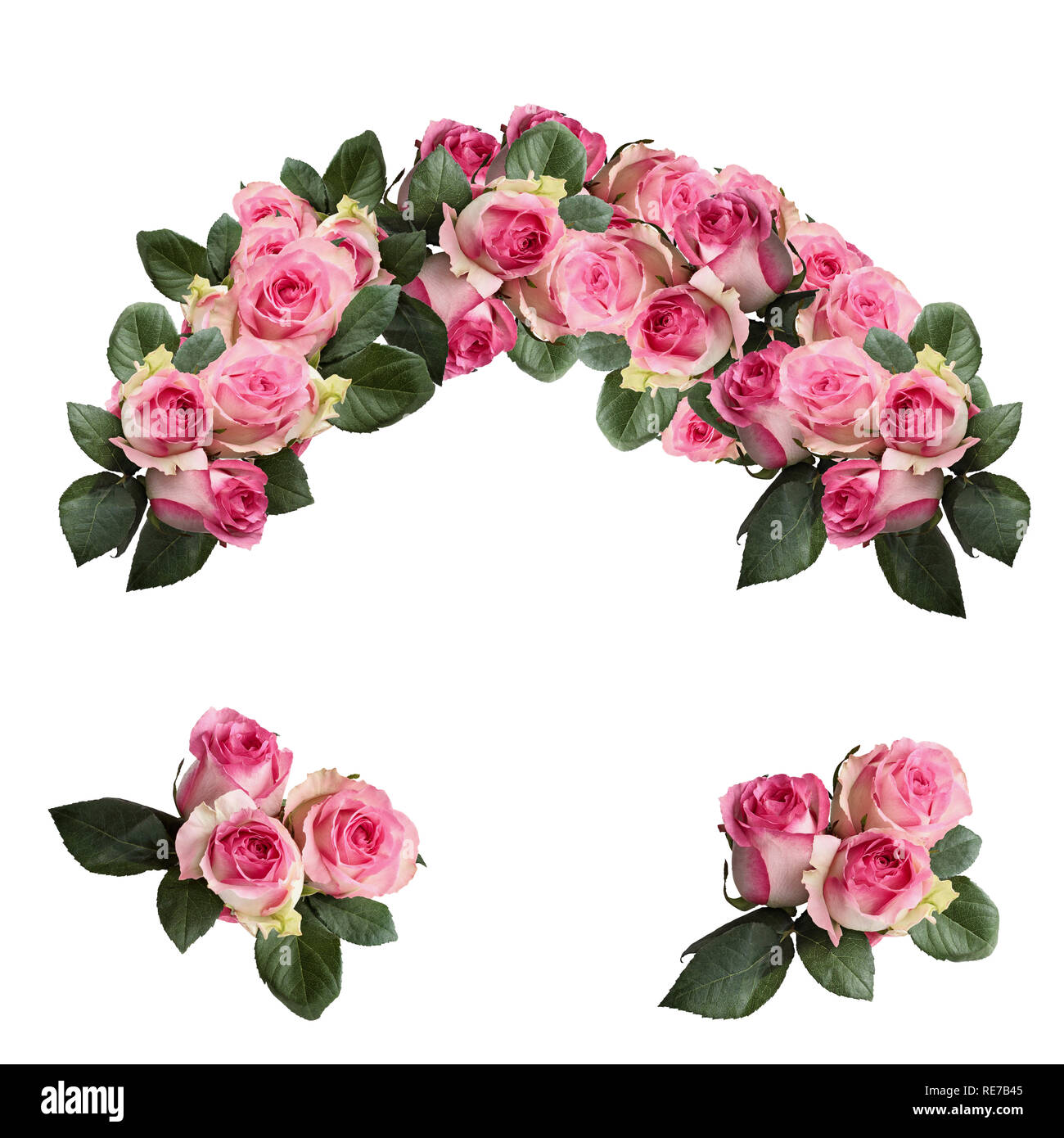 Belles fleurs rose rose et blanc avec des feuilles disposées et isolé sur un fond blanc. Capture d'image en vue de dessus. Banque D'Images