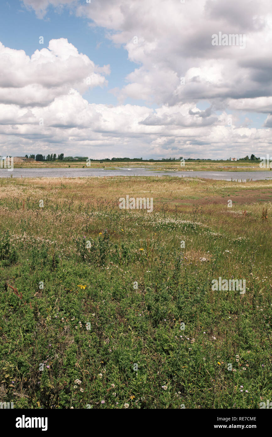 Frampton Marsh RSPB réserve près de Boston Lincolnshire Banque D'Images