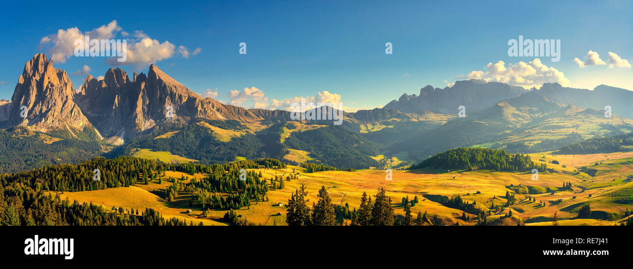 Alpe di Siusi ou Alpe di Siusi, Dolomites Alpes Sassolungo et Sassopiatto montagnes, Trentin-Haut-Adige Sud Tyrol, Italie, Europe Banque D'Images