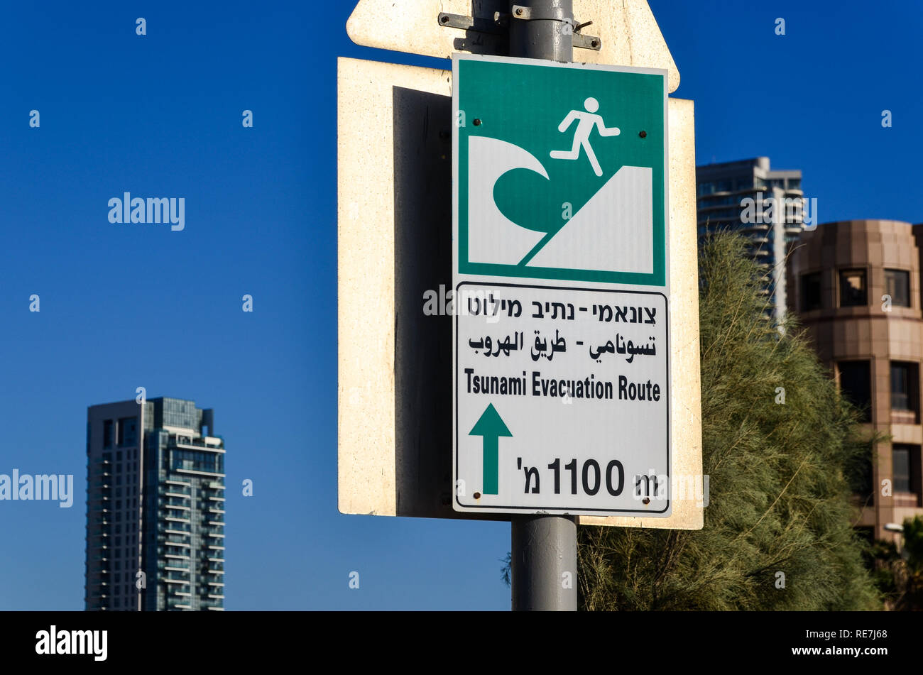 Signe d'évacuation Tsunami, Tel Aviv, Israël Banque D'Images