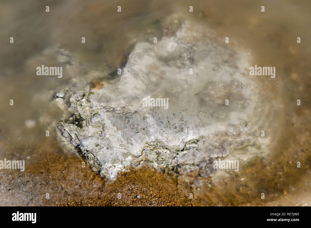 Formations de sel à la Mer Morte (Cisjordanie), et hypersalins lac le plus bas au monde, à -430m au-dessous du niveau de la mer Banque D'Images