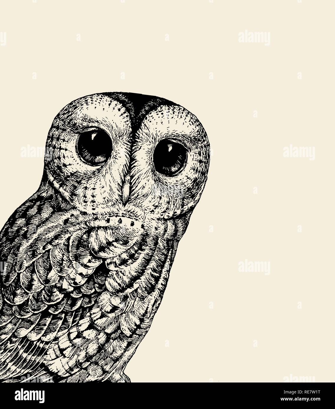 Cute Owl Illustration Retro Owl Vector Illustration Chouette Bebe Noir Sur Blanc Peut Etre Utilise Pour T Shirt Print Kids Wear Design De Mode D Invitation De Douche De Bebe Carte De Pepiniere Image