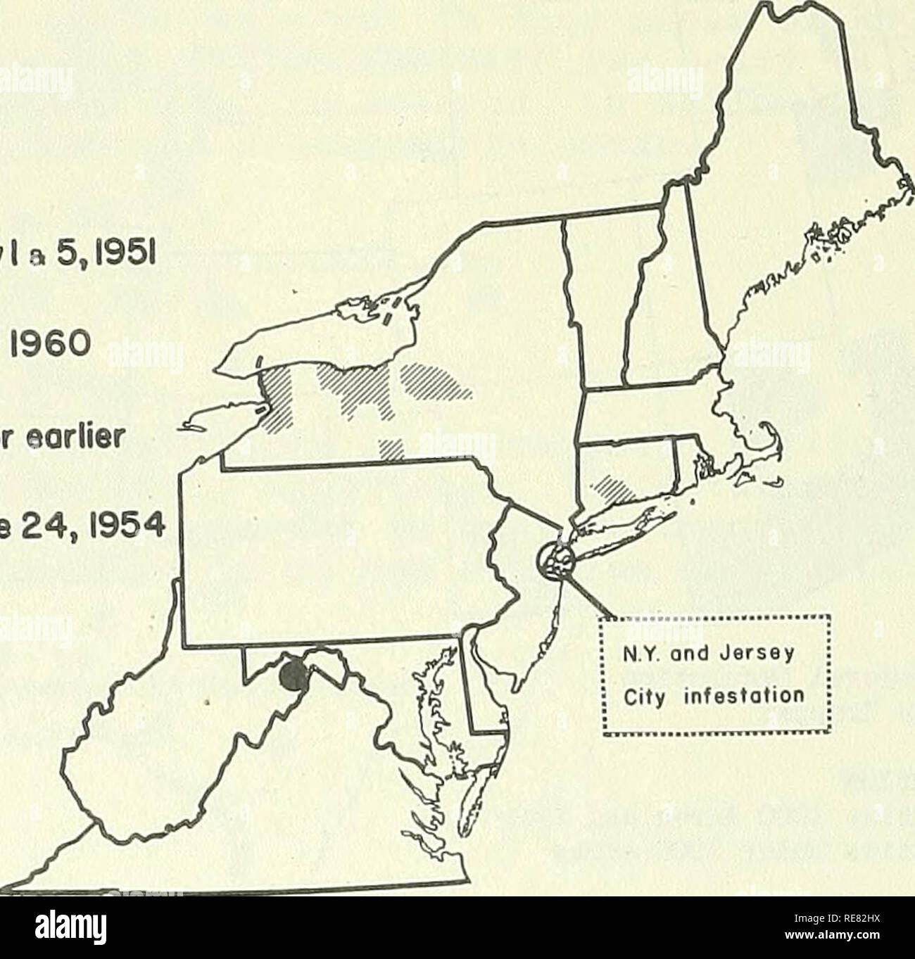 . Rapport d'insectes économique coopérative. Les insectes bénéfiques ; les insectes nuisibles. - 272 - Résultats de le programme de piégeage dans la région de Clark, Elko, Pershing et les comtés de Washoe, au Nevada, ont été négatifs, et pas de spécimens ont été prélevés dans des pièges placés dans les principaux aéroports commerciaux et militaires au Nouveau Mexique en 1961. Au Nebraska, deux adultes ont été piégés à Offutt Air Force Base, comté de Douglas, à la fin de l'été. C'est la première fois que l'insecte a été recueillie dans l'État. Cependant, l'infestation n'est pas censées être établies. Un total de 172 pièges ont été établis dans le Dakota du Sud en juillet Banque D'Images