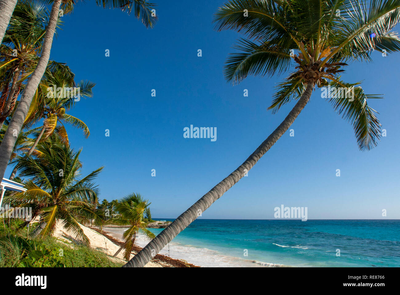 Plage de Hope Town (South Beach). La Ville espère, Elbow Cay, Abacos. Bahamas. Banque D'Images