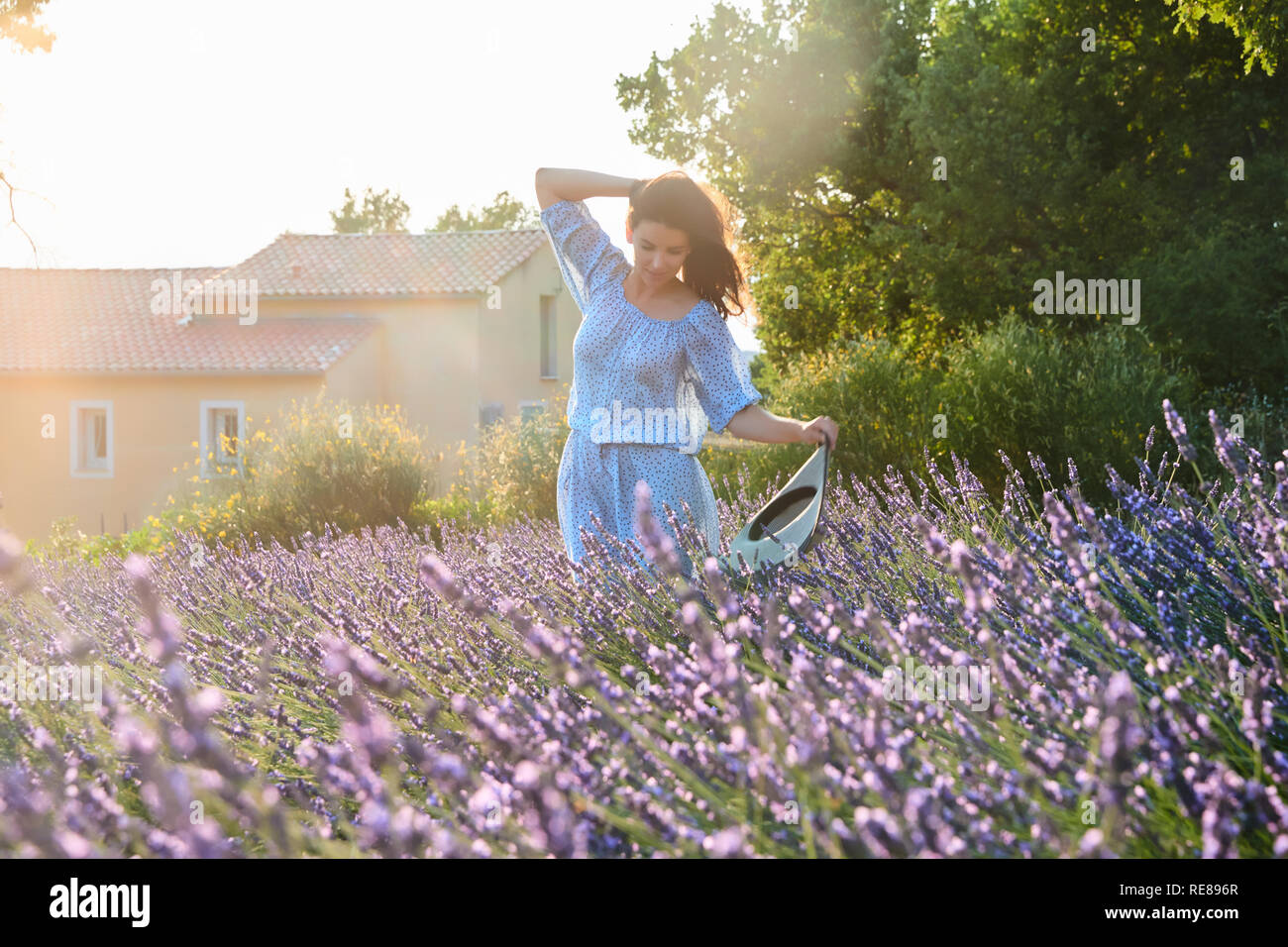 La belle jeune fille dans une robe bleue marche à travers le champ de lavande, un long cheveux bouclés, sourire, plaisir, arbres en arrière-plan Banque D'Images
