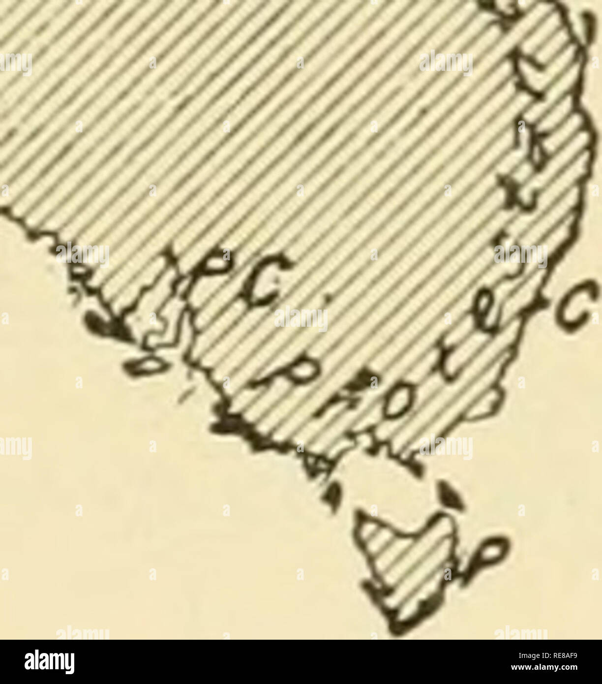 . La terre et ses habitants ... La géographie. '^.C 40' ' ? J'^f. fv :- •' ; 'C.P .â lOO' méridien de Greenwicln. Veuillez noter que ces images sont extraites de la page numérisée des images qui peuvent avoir été retouchées numériquement pour plus de lisibilité - coloration et l'aspect de ces illustrations ne peut pas parfaitement ressembler à l'œuvre originale.. Reclus, Elisée, 1830-1905 ; Ravenstein, Ernest George, 1834-1913 ; Keane, A. H. (Augustus Henry), 1833-1912. New York, D. Appleton and Company Banque D'Images