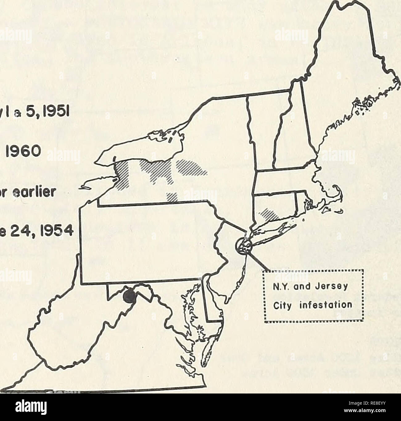 . Rapport d'insectes économique coopérative. Le contrôle des insectes ravageurs United States périodiques. - 272 - Résultats de le programme de piégeage dans la région de Clark, Elko, Pershing et les comtés de Washoe, au Nevada, ont été négatifs, et pas de spécimens ont été prélevés dans des pièges placés dans les principaux aéroports commerciaux et militaires au Nouveau Mexique en 1961. Au Nebraska, deux adultes ont été piégés à Offutt Air Force Base, comté de Douglas, à la fin de l'été. C'est la première fois que l'insecte a été recueillie dans l'État. Cependant, l'infestation n'est pas censées être établies. Un total de 172 pièges ont été établies dans le sud Banque D'Images