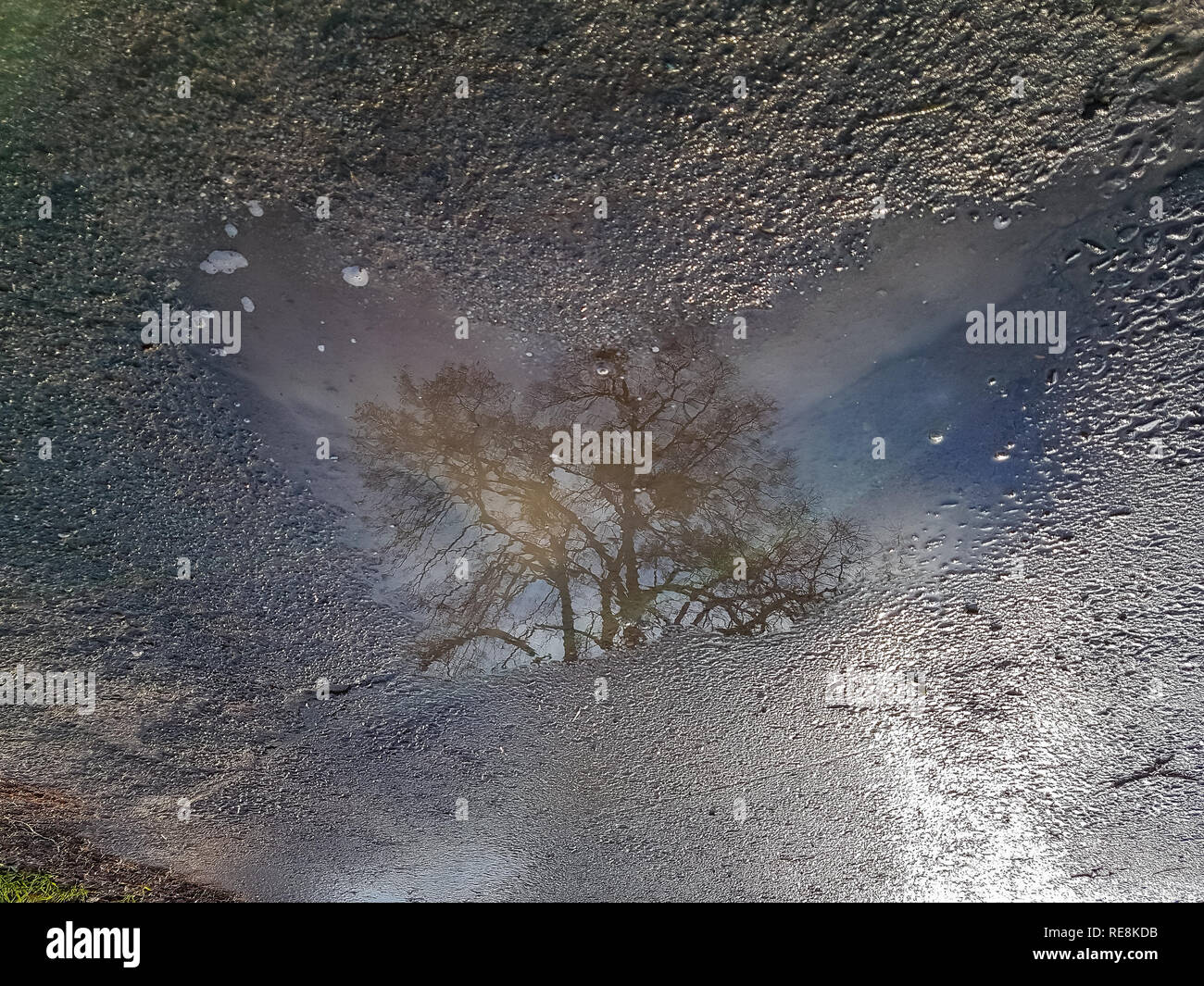 Une rue avec une flaque d'eau reflétant un arbre éloigné et le blue cloudy sky Banque D'Images