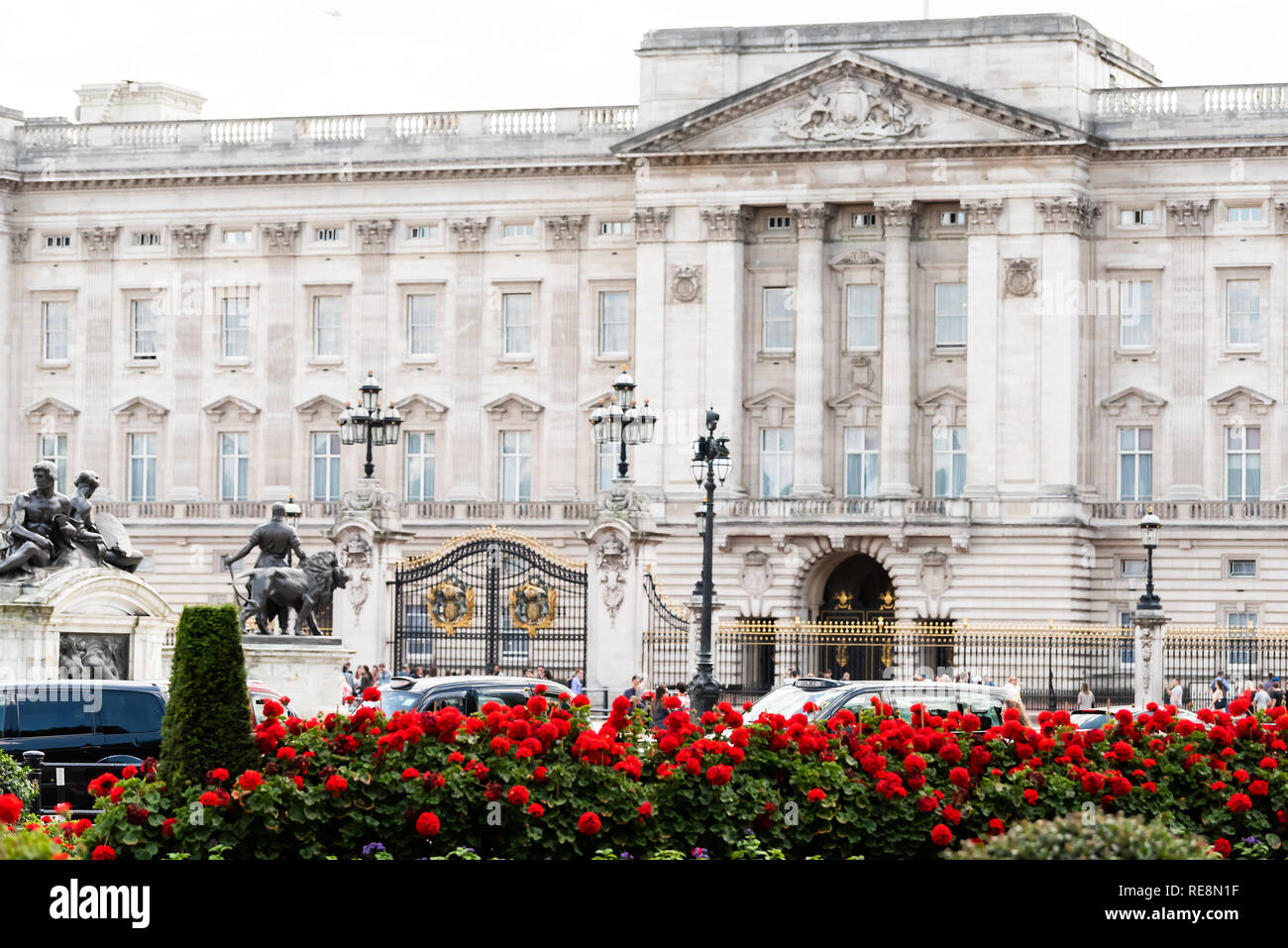 Londres, Royaume-Uni - 21 juin 2018 : le palais de Buckingham clôture barrière architecture bâtiment au cours de journée d'été avec des voitures dans le trafic et de fleurs rose rouge g paysagers Banque D'Images