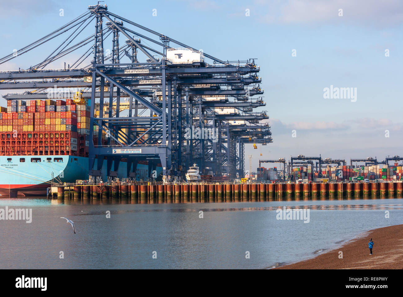 Avis de Maersk container ship décharge des conteneurs à marchandises port de Felixstowe suffolk Banque D'Images