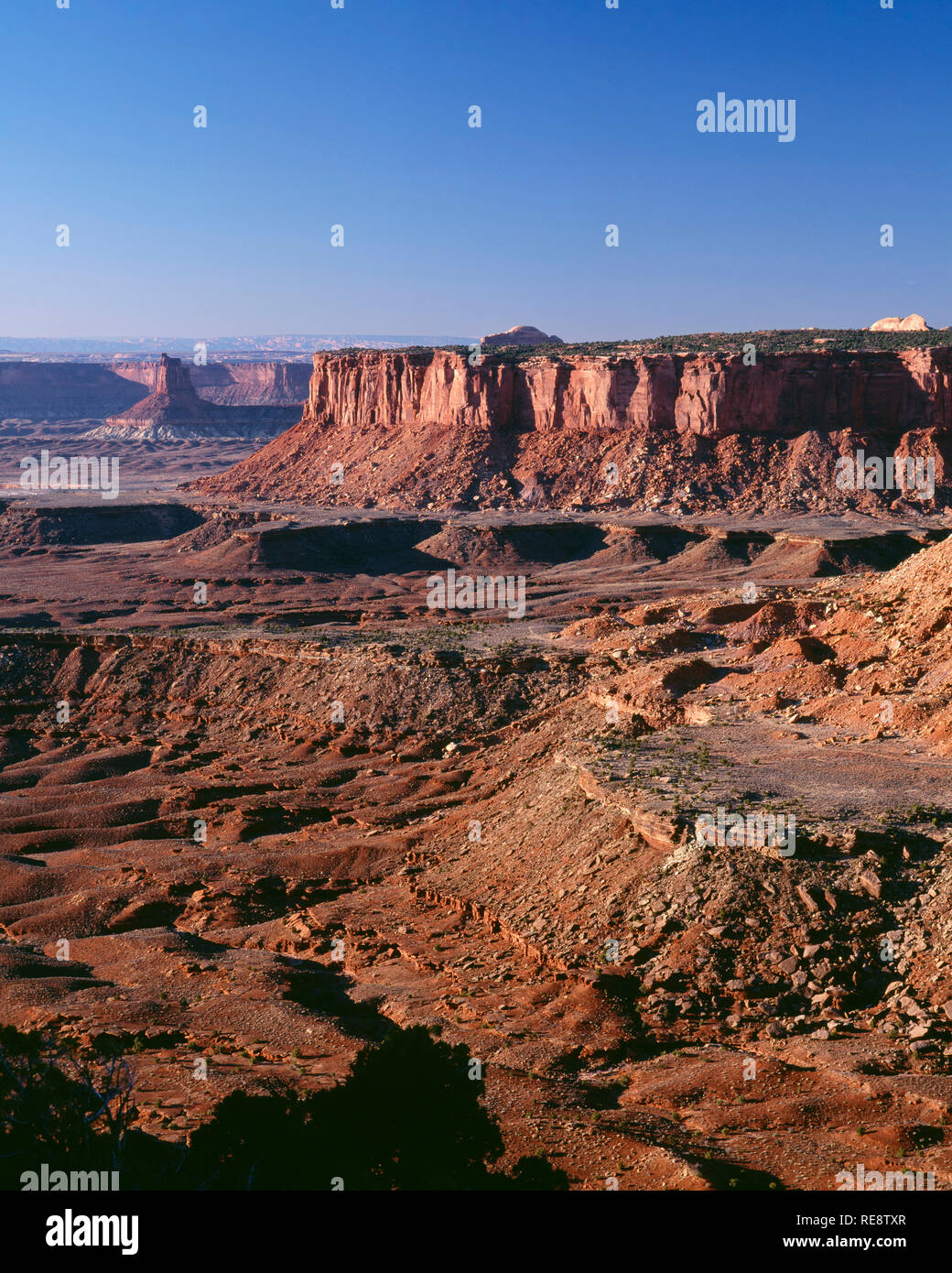 USA, Utah, Canyonlands National Park, vue vers le bassin de Murphy et lointain, à partir de la tour Chandelier Grand View Point, district de l'île dans le ciel. Banque D'Images